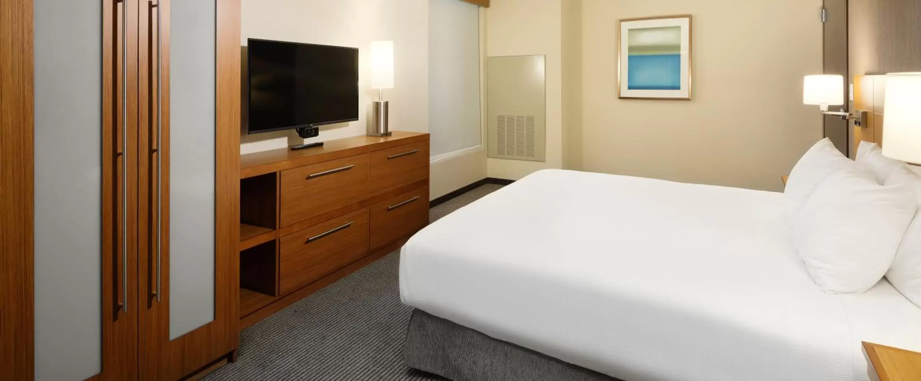 TV and multimedia, Bed in Hyatt Place Lubbock