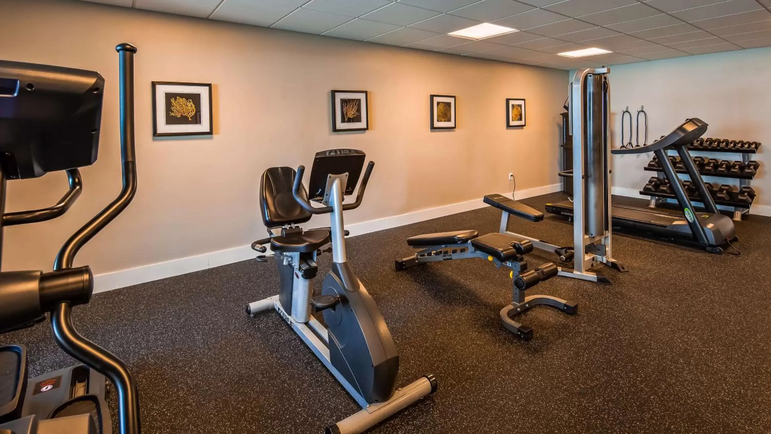 Fitness centre/facilities, Fitness Center/Facilities in Best Western On The Bay Inn & Marina