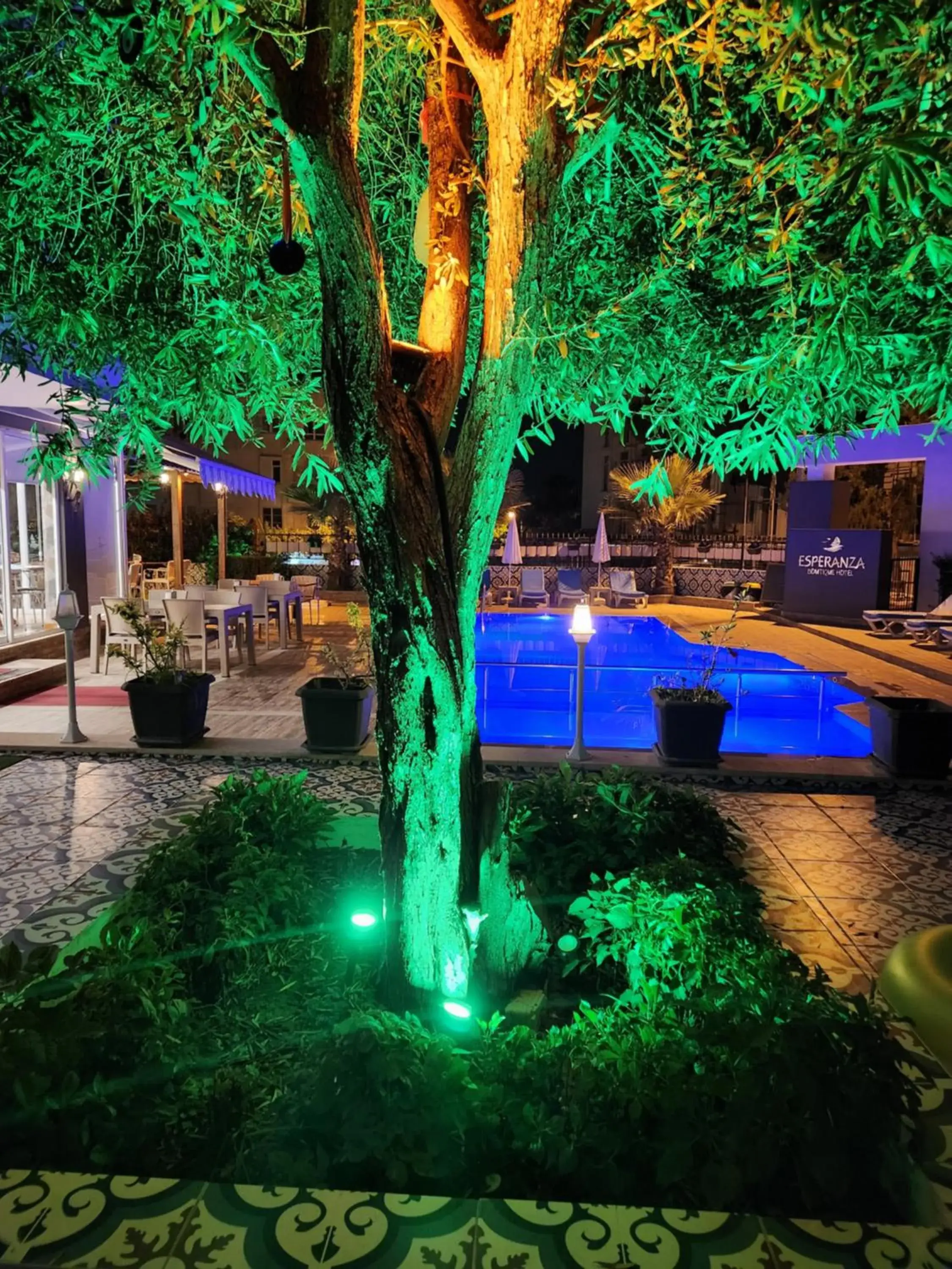 Patio, Swimming Pool in Esperanza Boutique Hotel