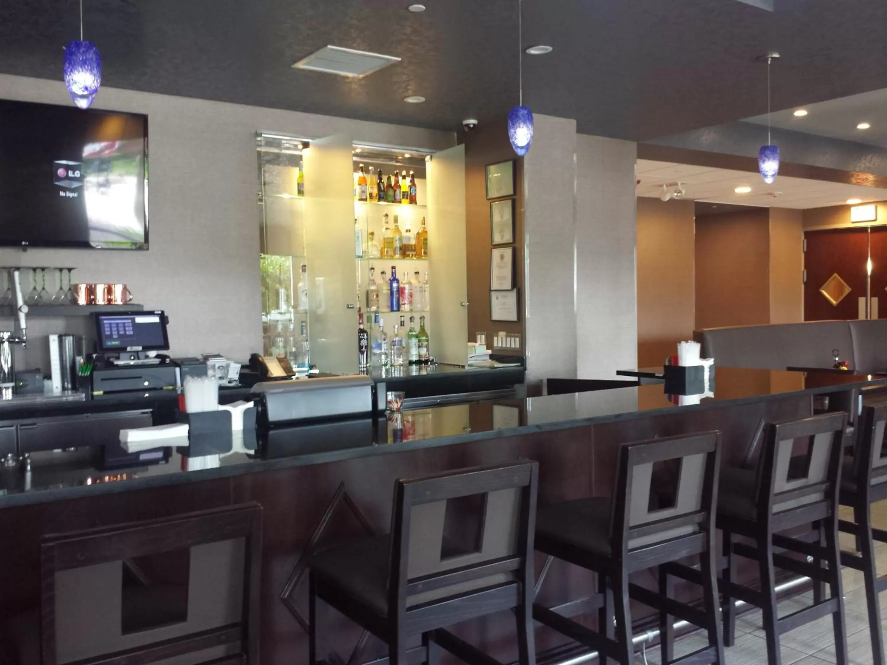 Lounge or bar in Wyndham Garden Elk Grove Village - O'Hare