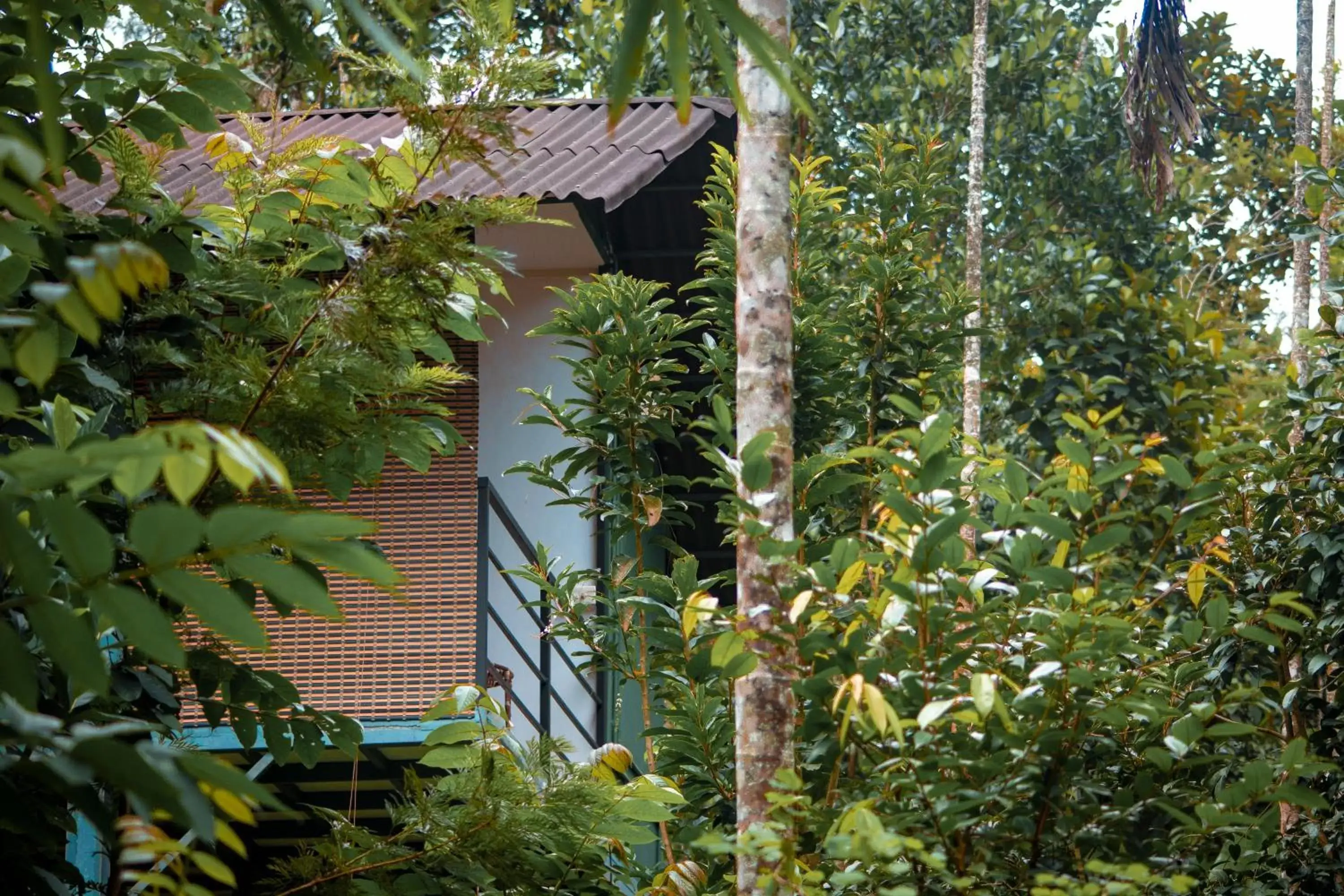 Property building in Edens Munnar Property building in Edens Munnar