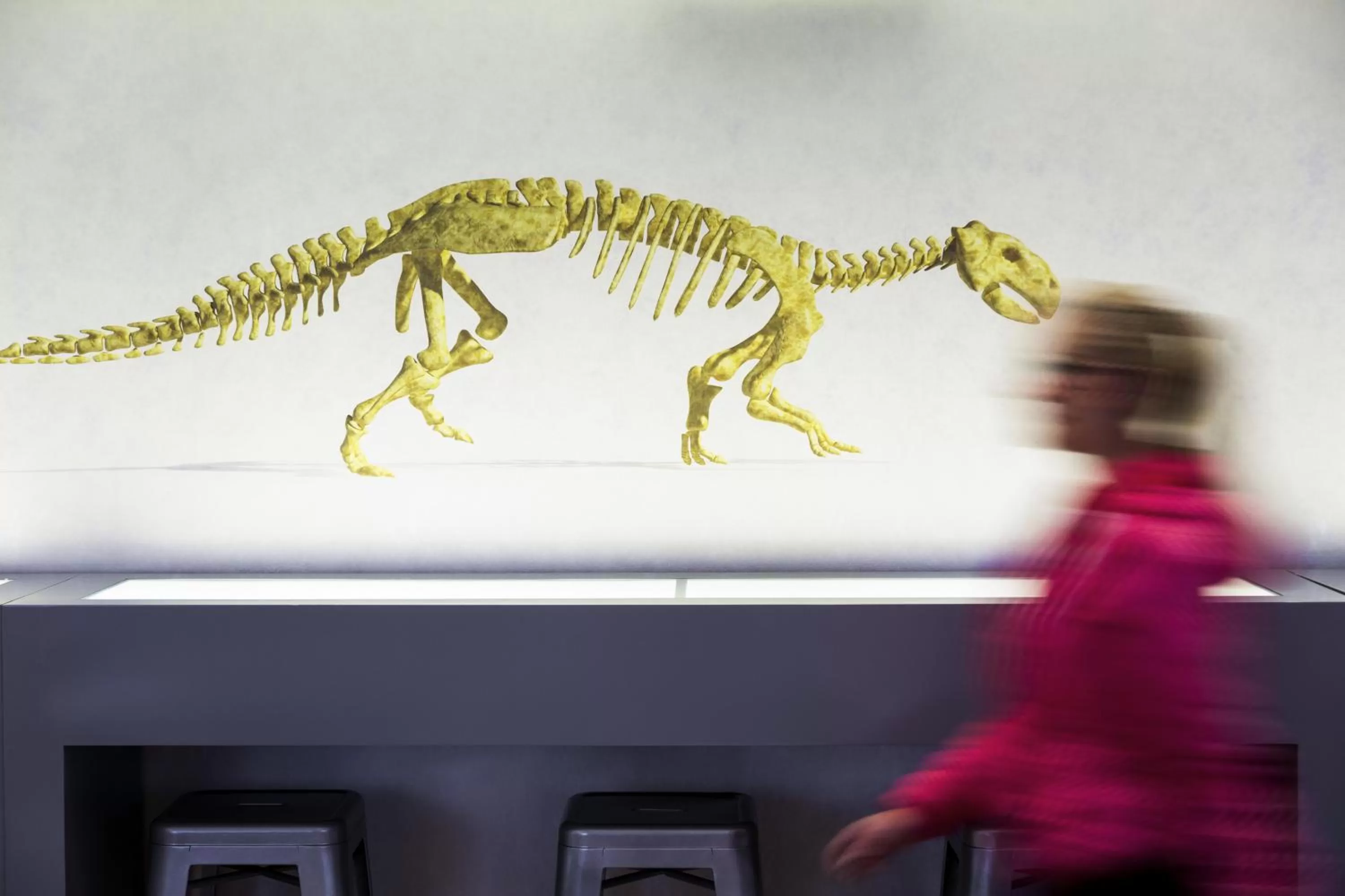 Lobby or reception in Heeton Concept Hotel - Kensington London