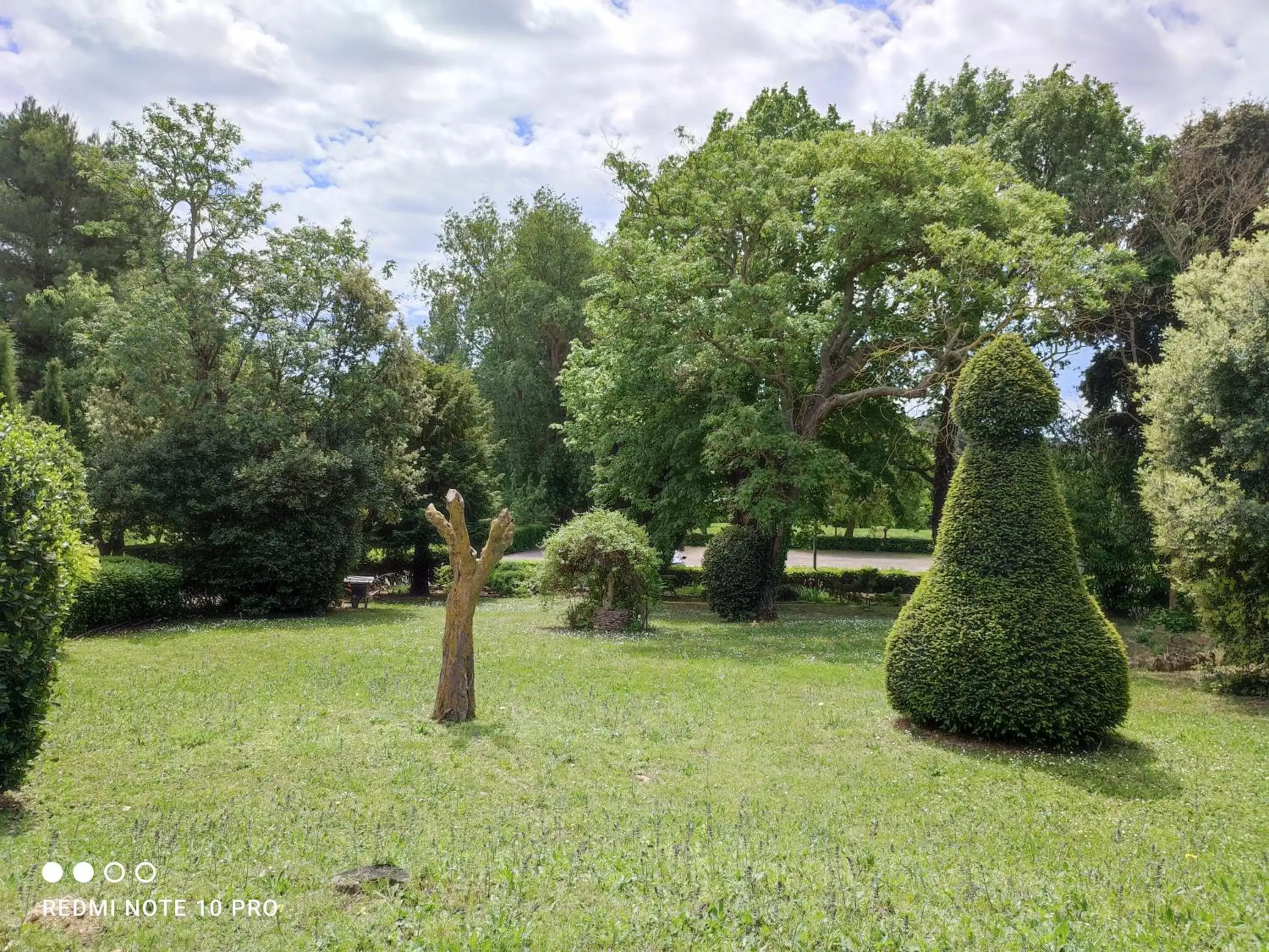 Garden in Château Saint-Martin