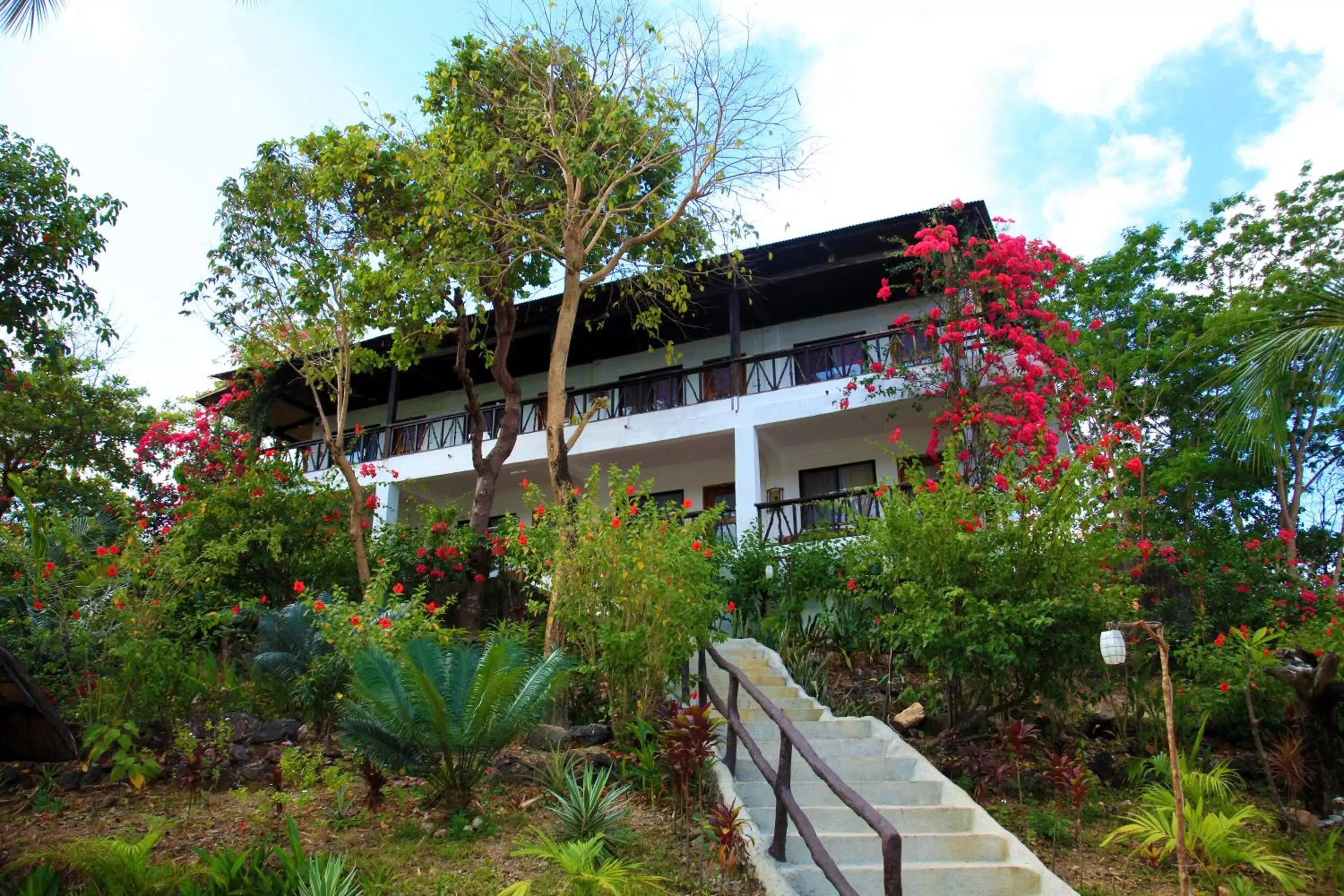 Property Building in Discovery Island Resort