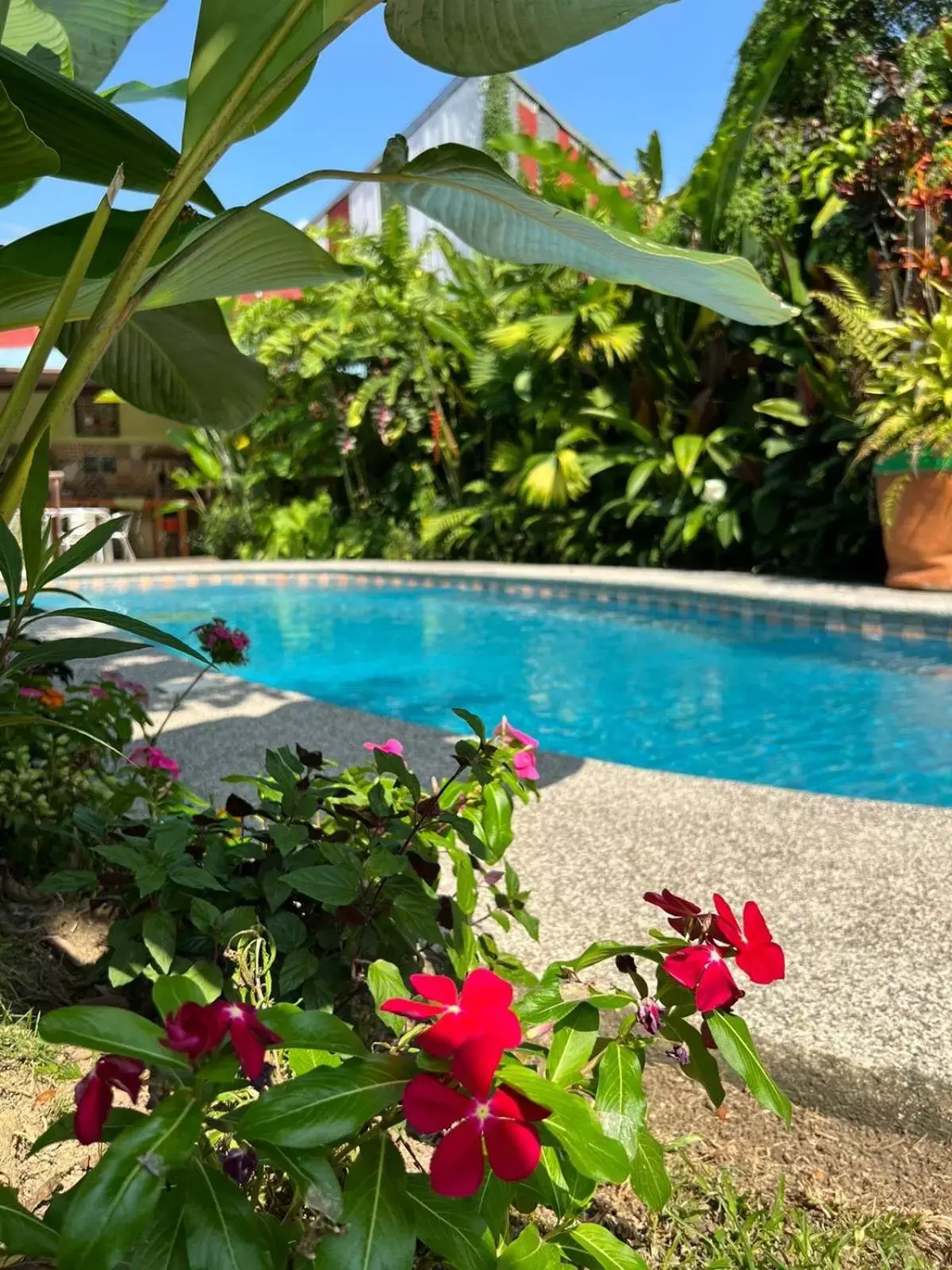 Swimming Pool in Hotel Arte Natura