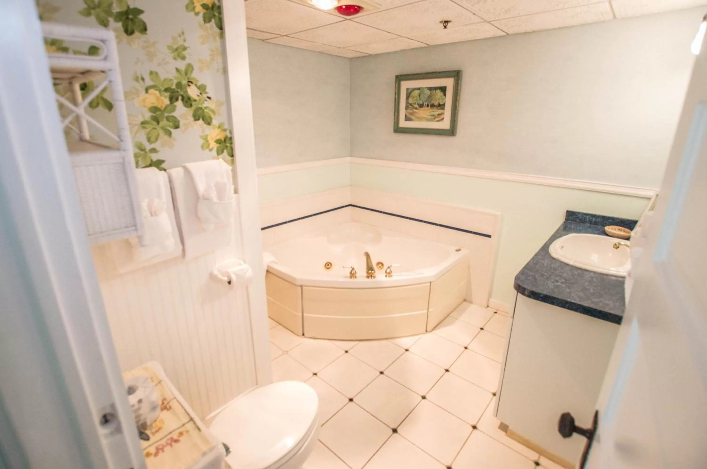 Toilet in Terrace Inn and 1911 Restaurant