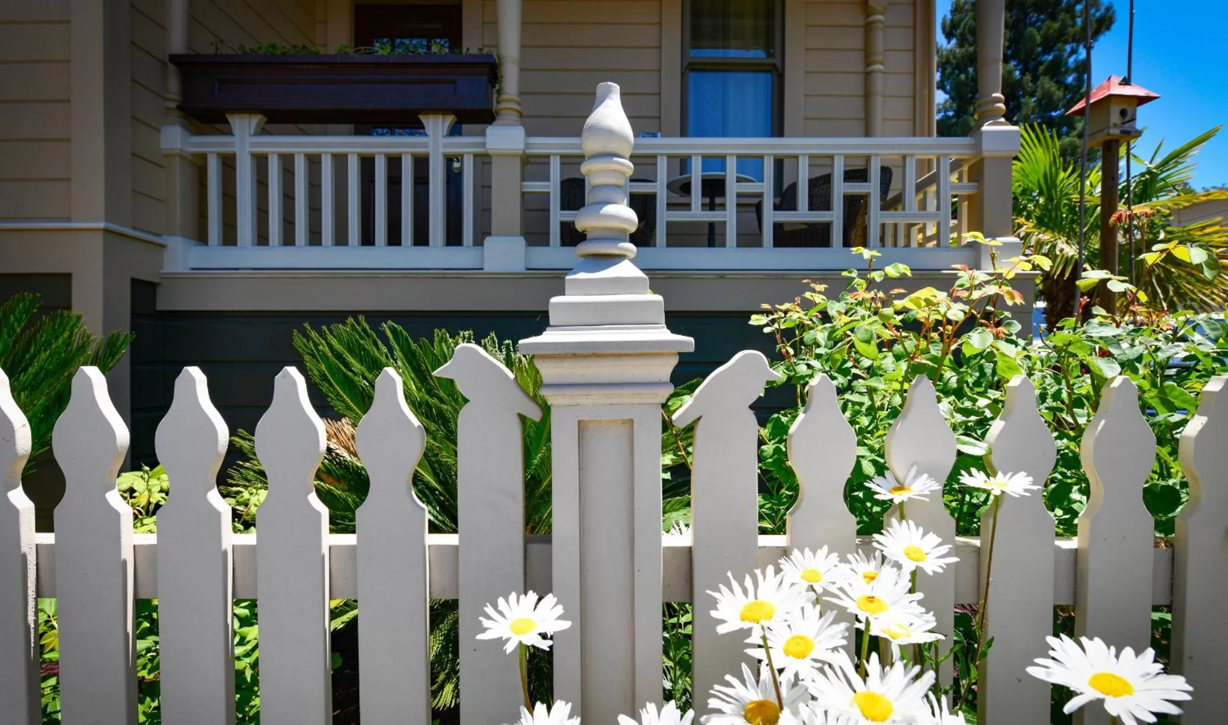Property building in Blackbird Inn