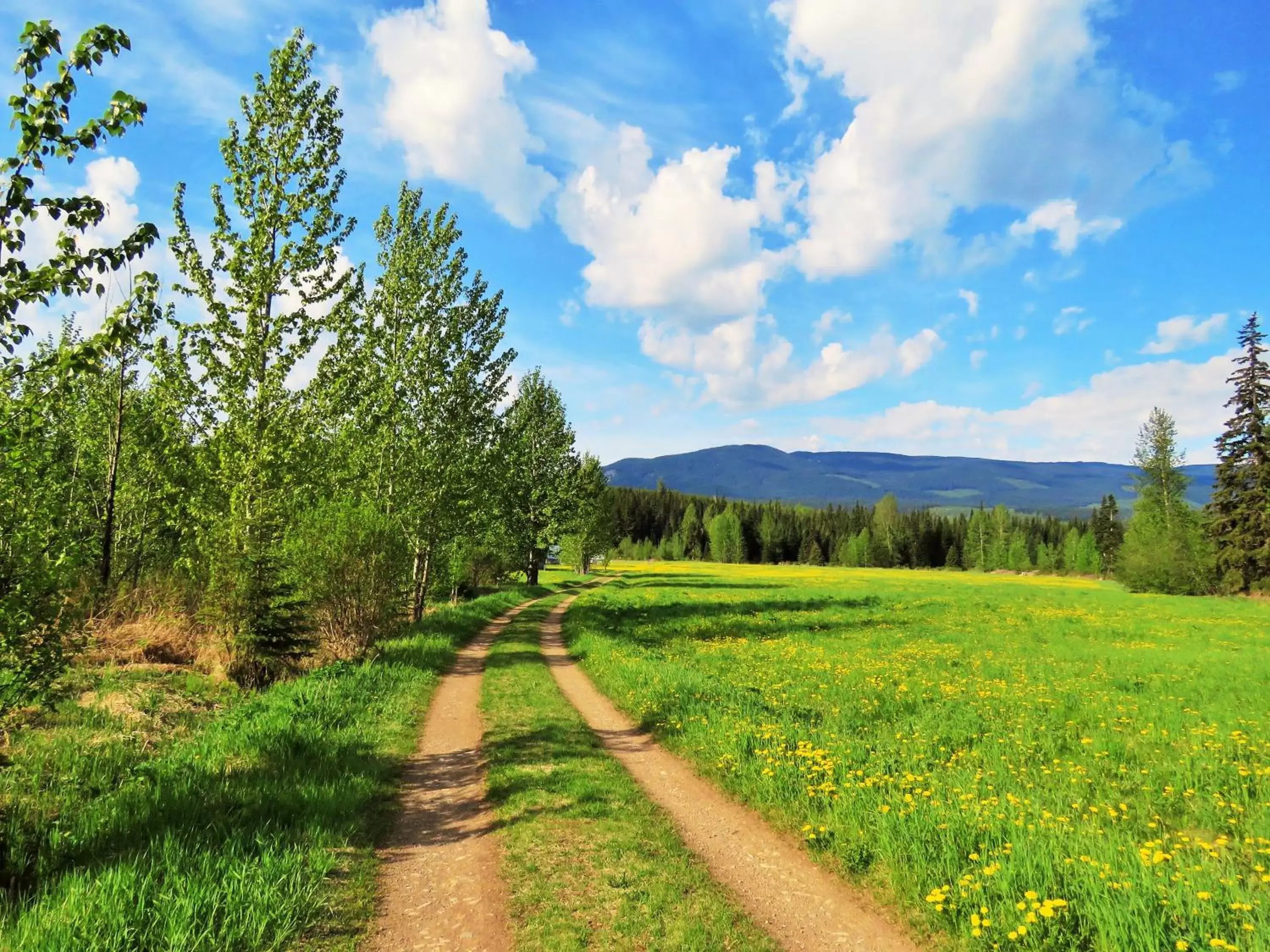 Natural landscape in Rocky Ridge Resort-BC