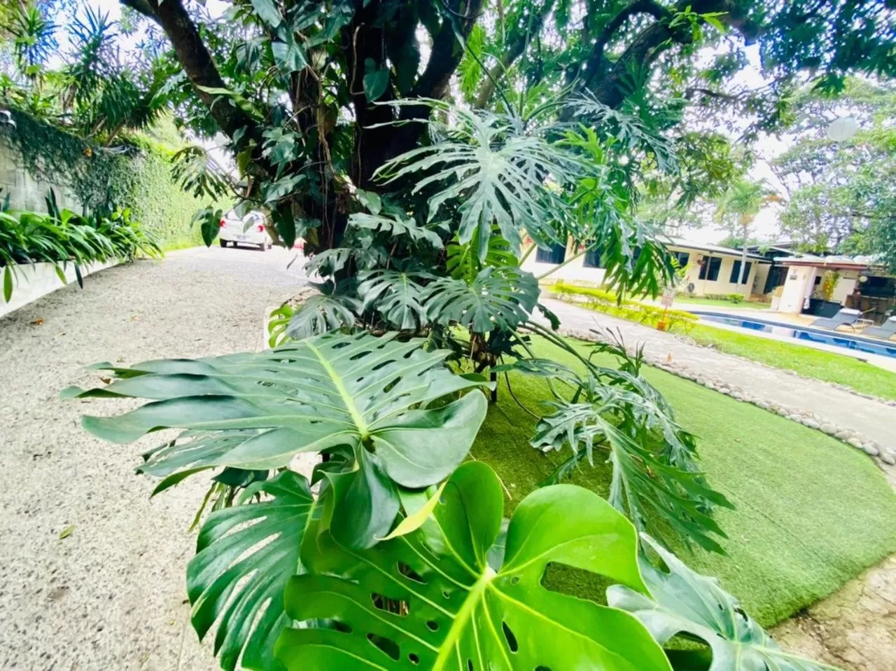 Garden view in Hotel Mango Airport