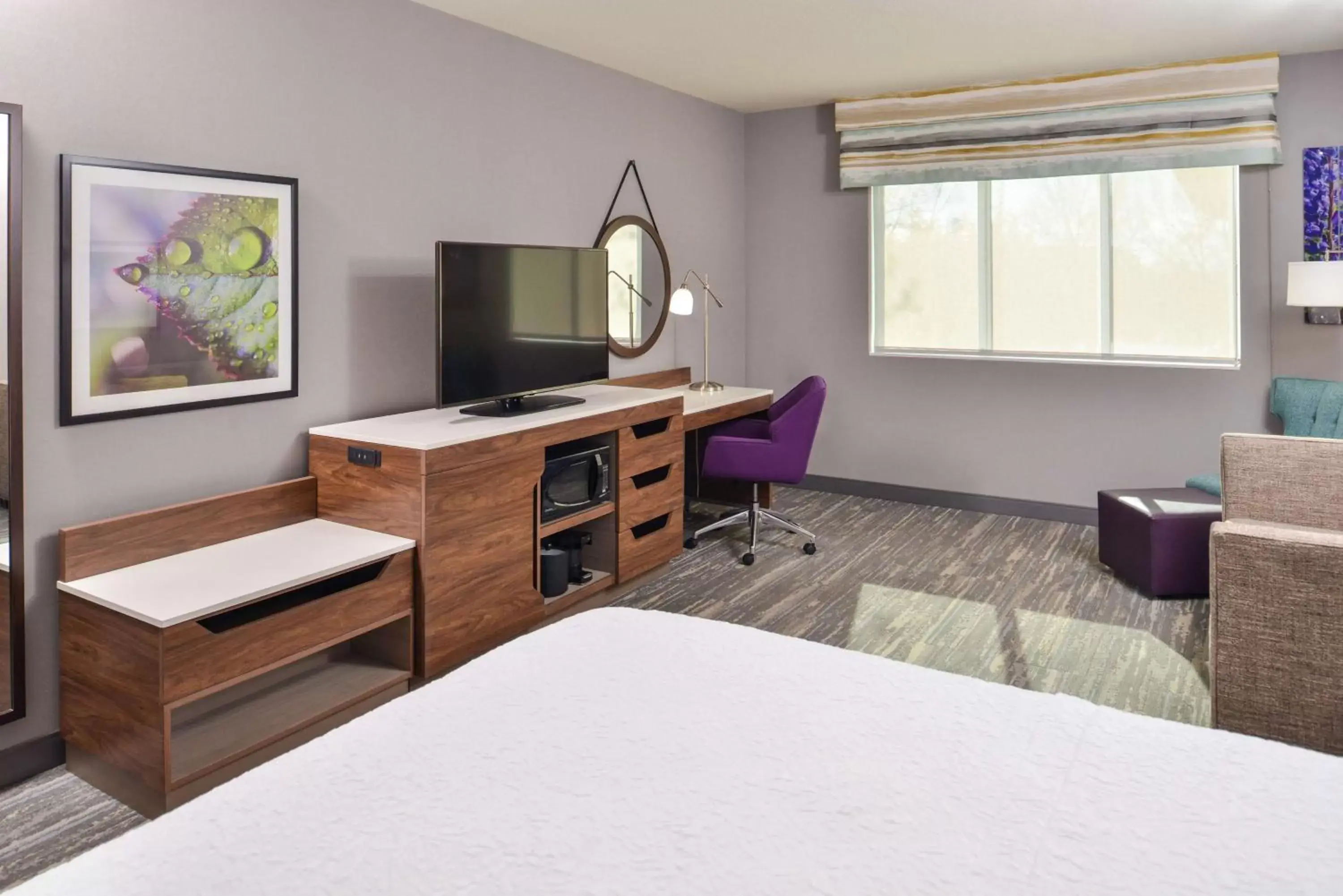 Bedroom, TV/Entertainment Center in Hampton Inn & Suites Boise/Spectrum