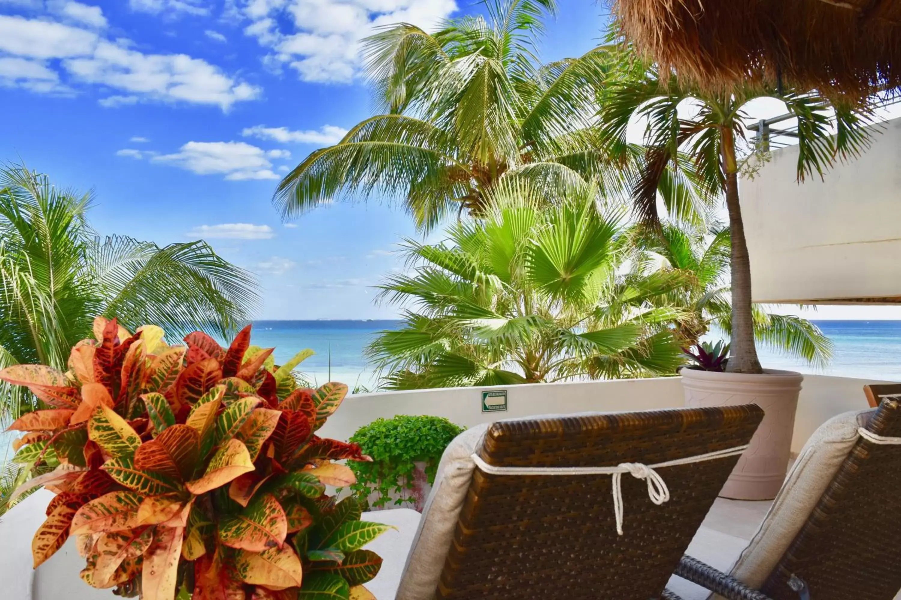 Balcony/Terrace in Playa Palms Beach Hotel