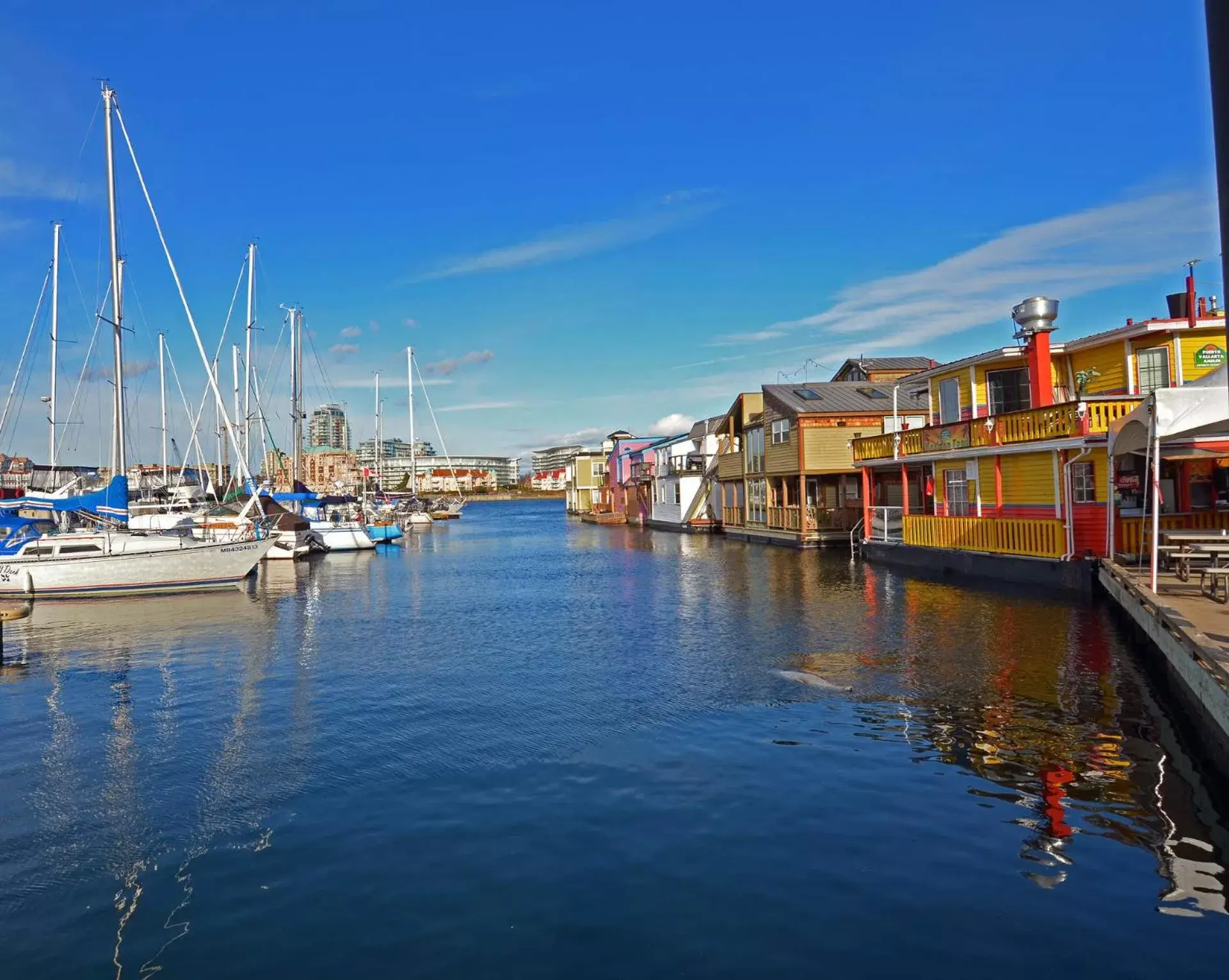 View (from property/room) in A Float Home B&B in Fisherman’s Wharf