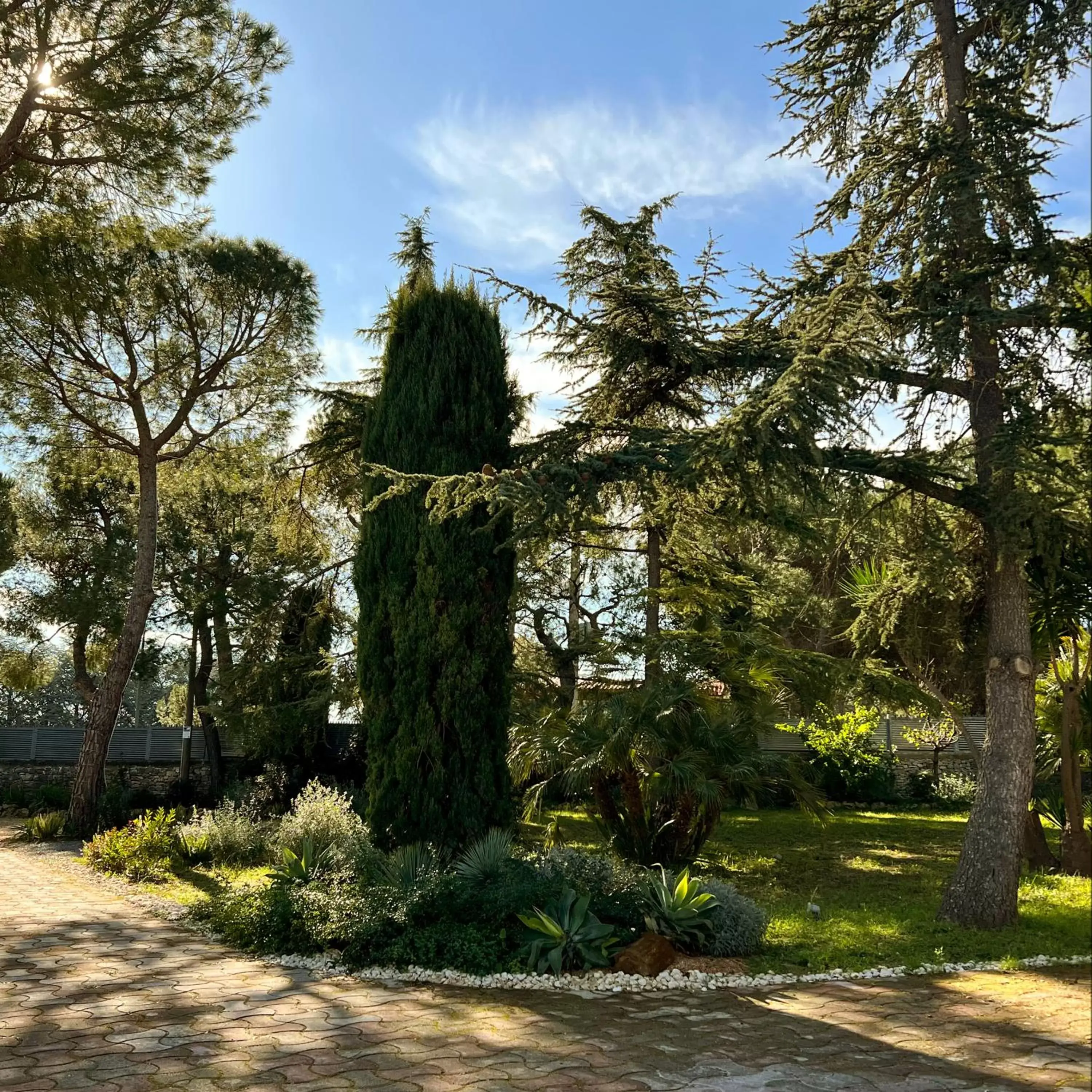 Natural landscape, Garden in Otto Apulia House