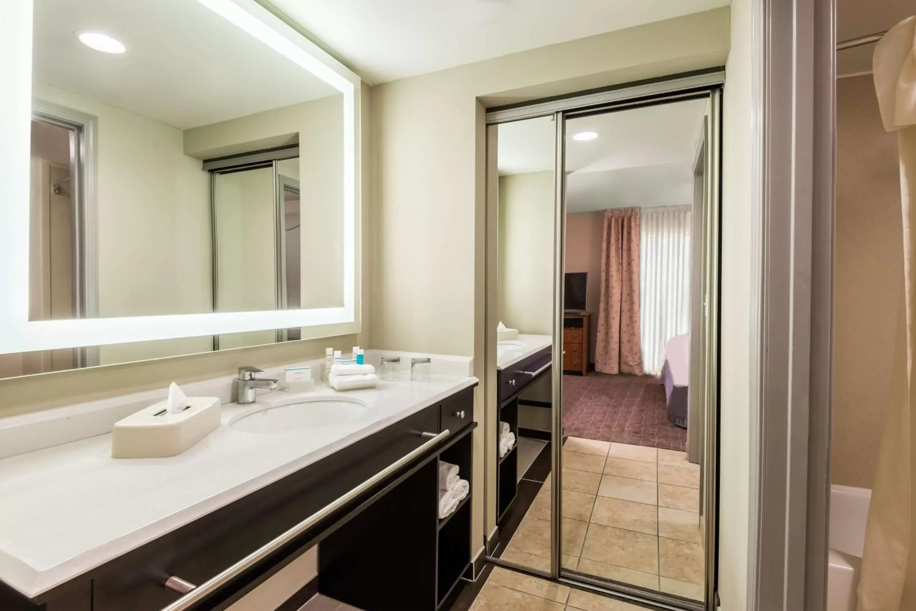 Bathroom in Homewood Suites by Hilton St. Louis Riverport- Airport West