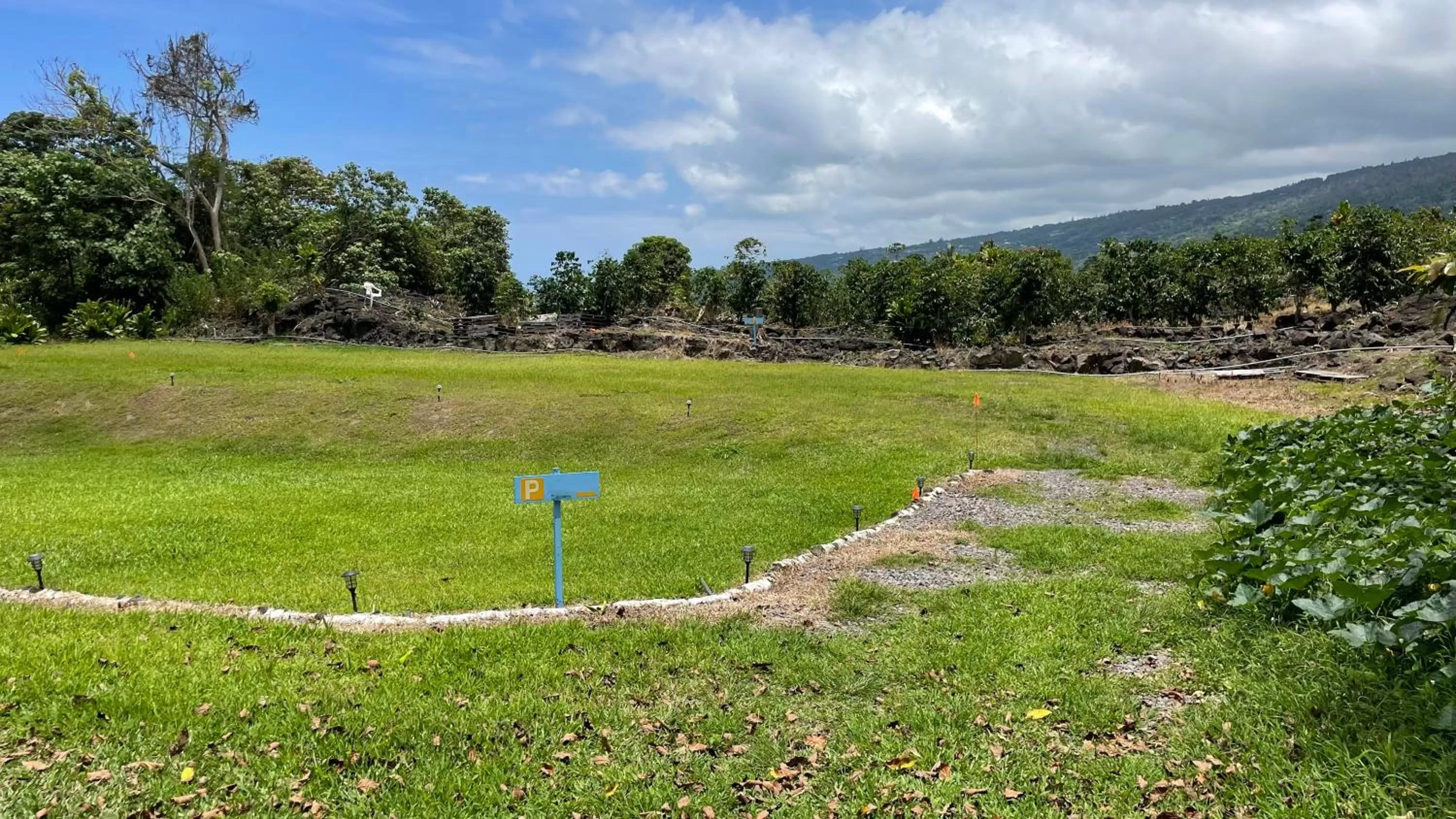 Parking in Coffee Garden