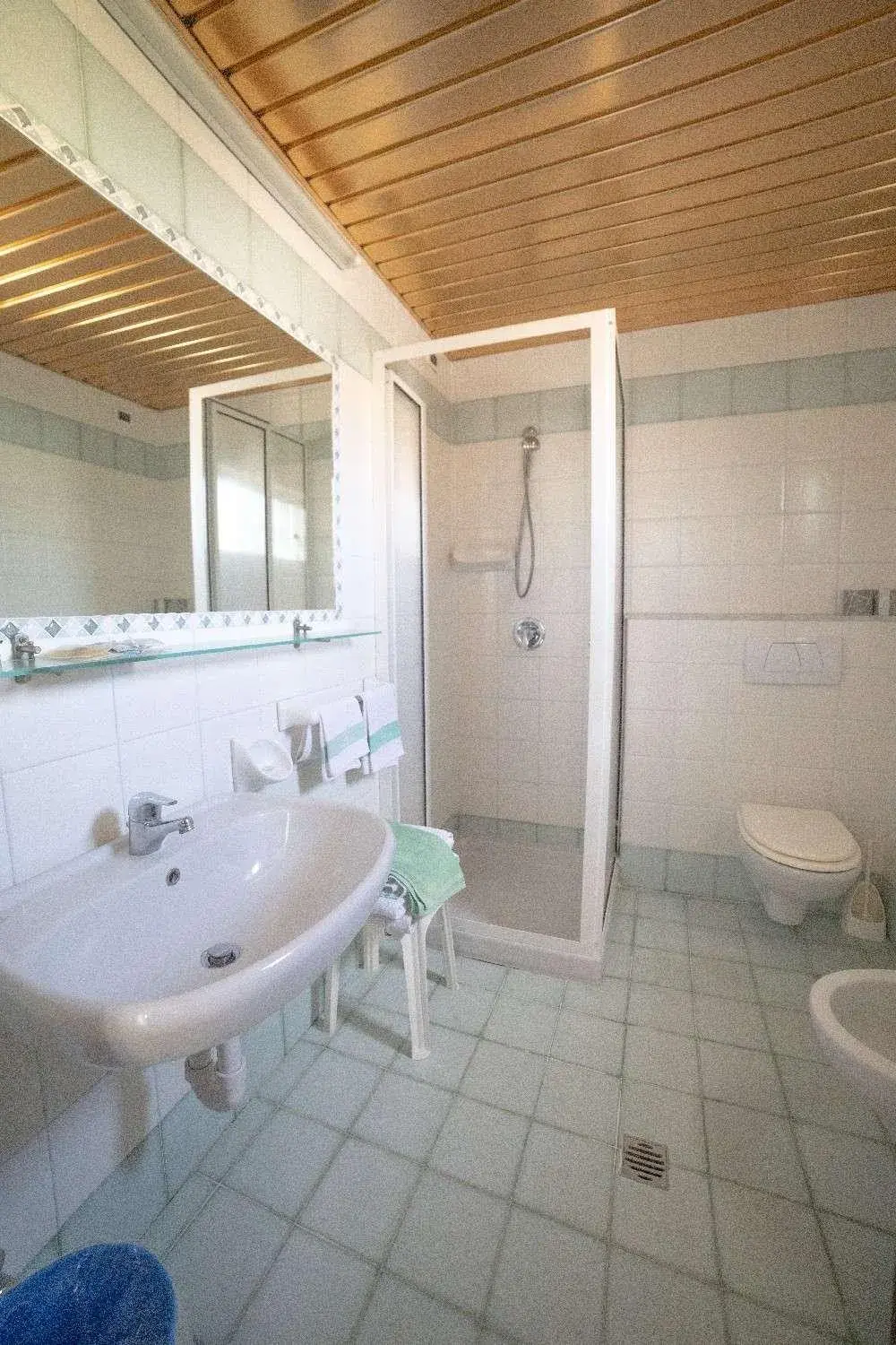Bathroom in Hotel Royal Terme
