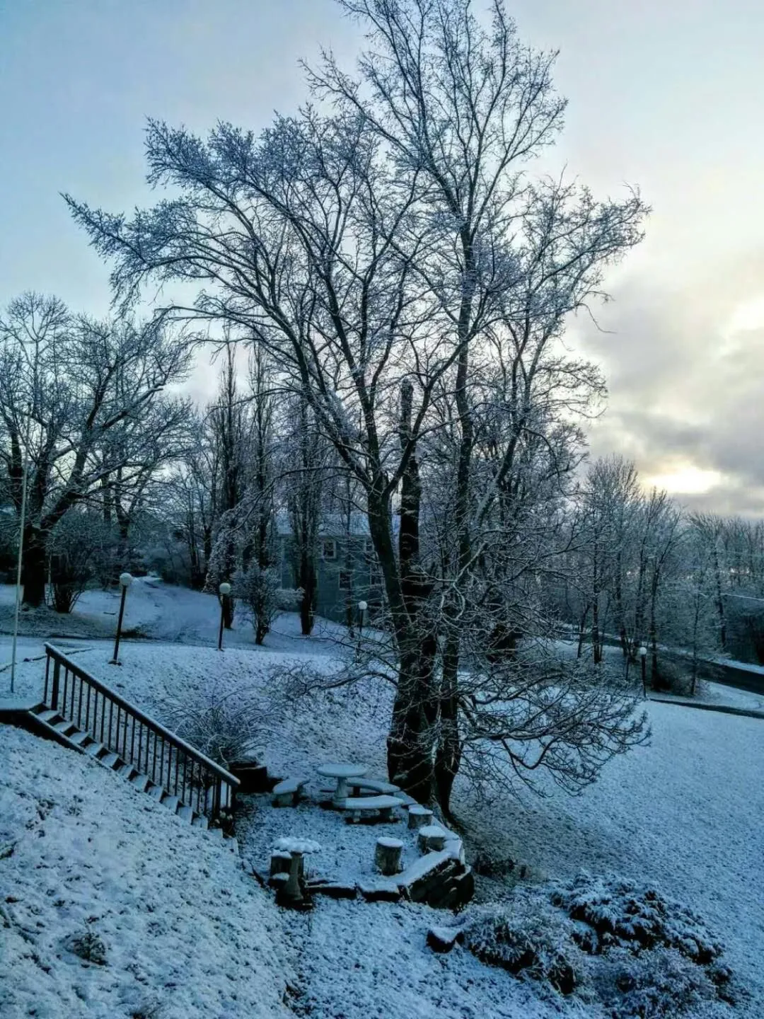 Winter in Braeside Country Inn