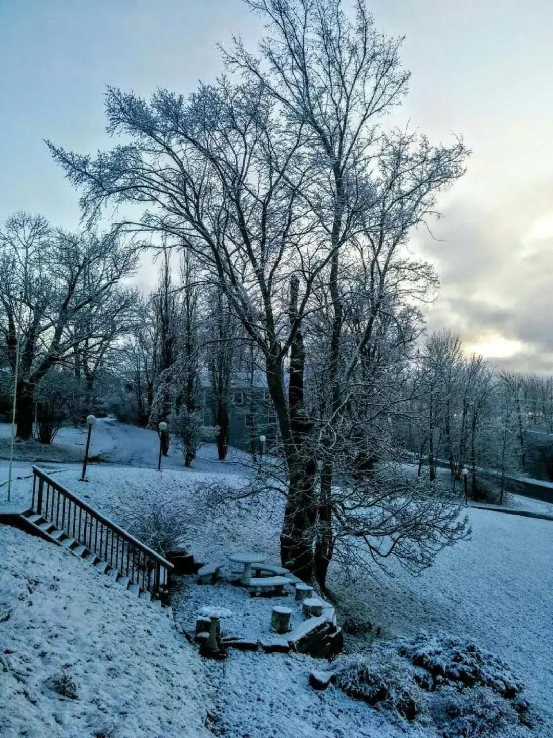 Winter in Braeside Country Inn