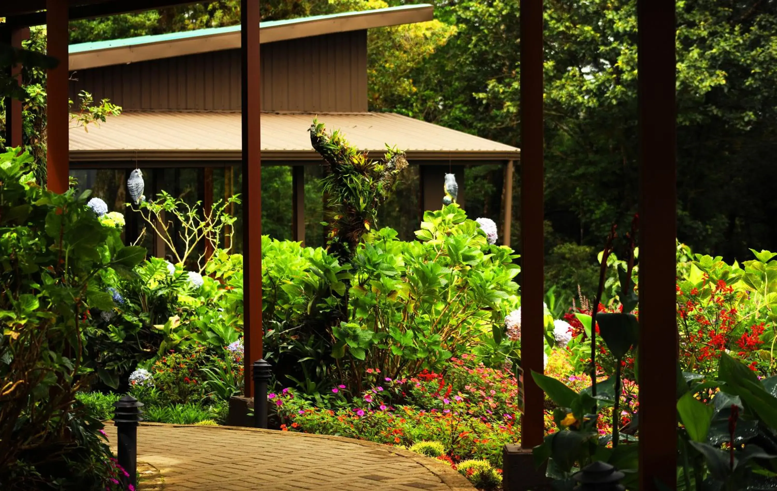 Garden, Property Building in Trapp Family Lodge Monteverde