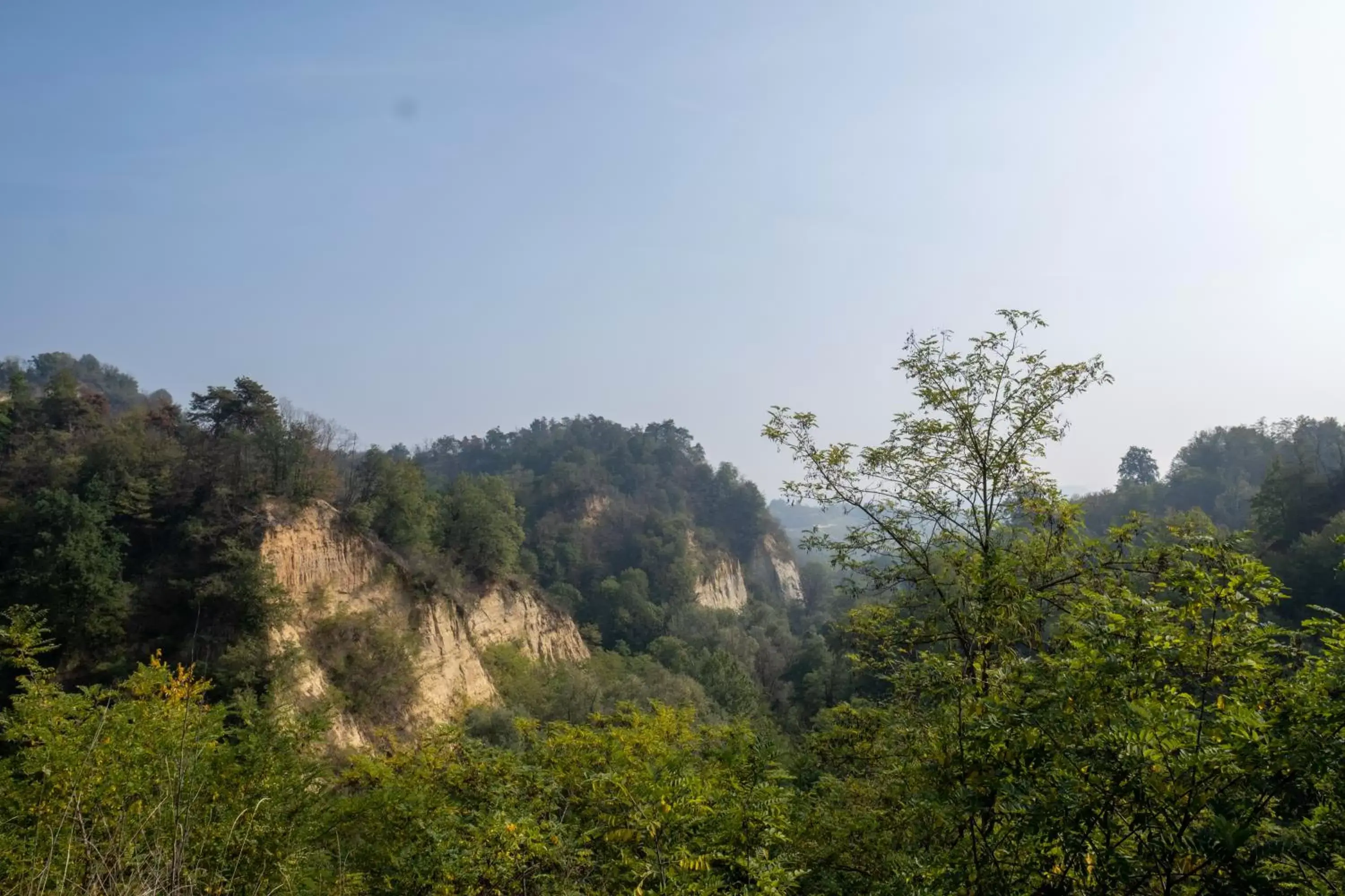 Natural landscape in Il Riccio e la Castagna - Country House