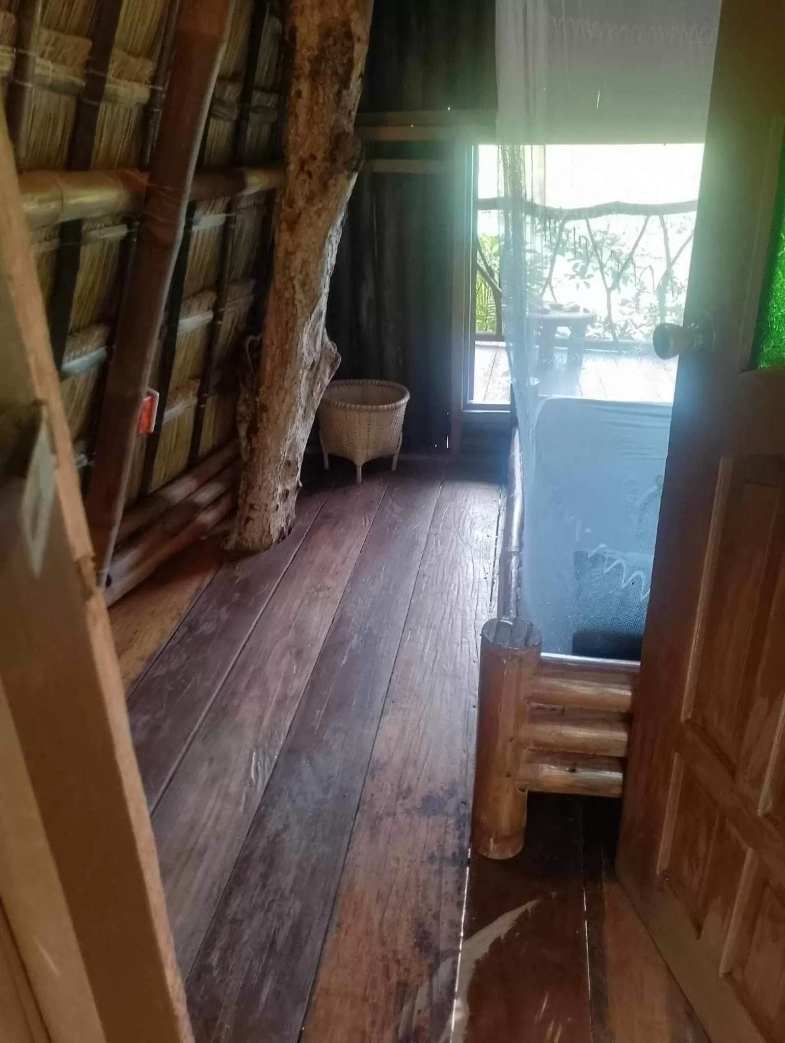 Sanctuaria Treehouses Busuanga