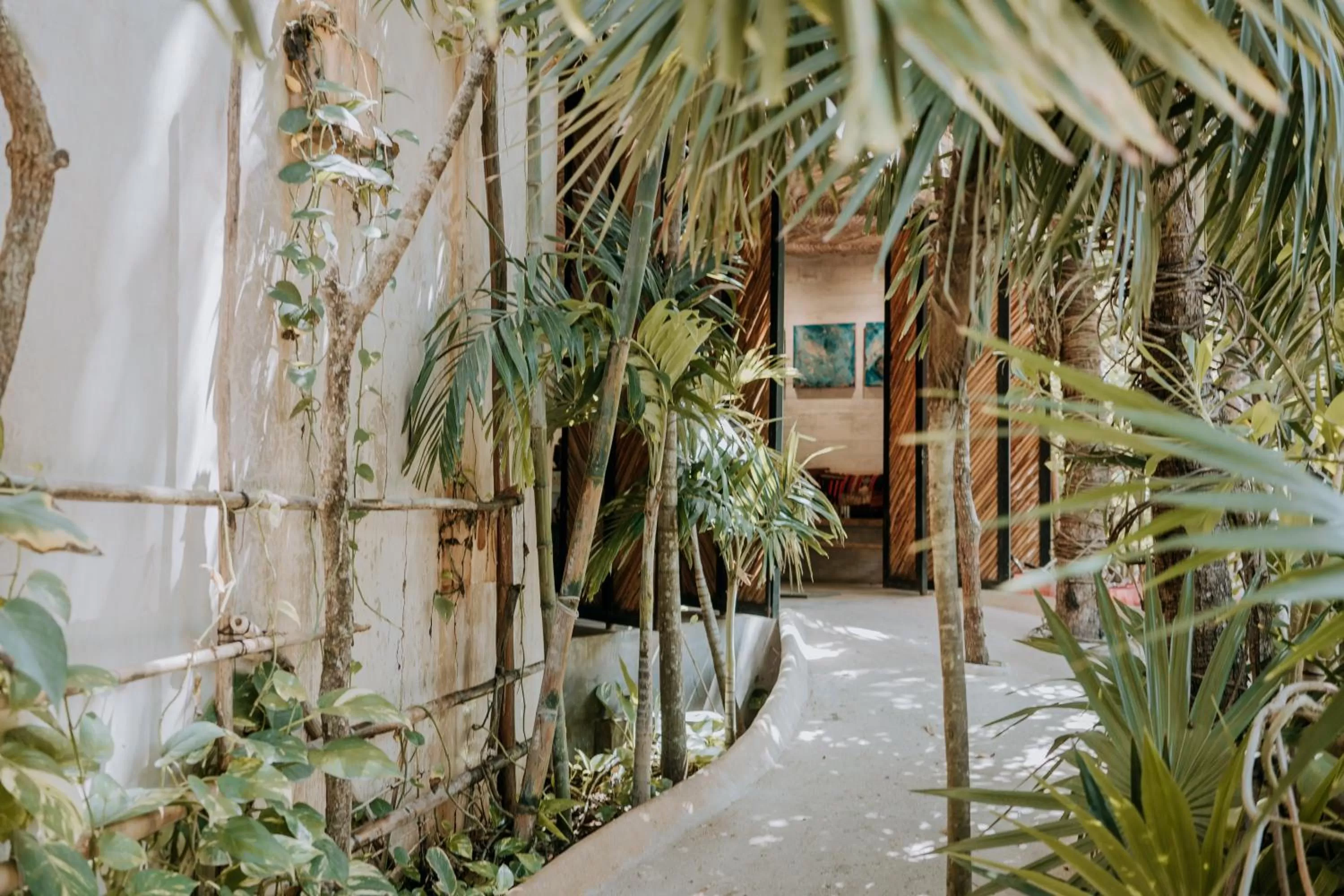 Garden view in Orchid House Tulum Jungle