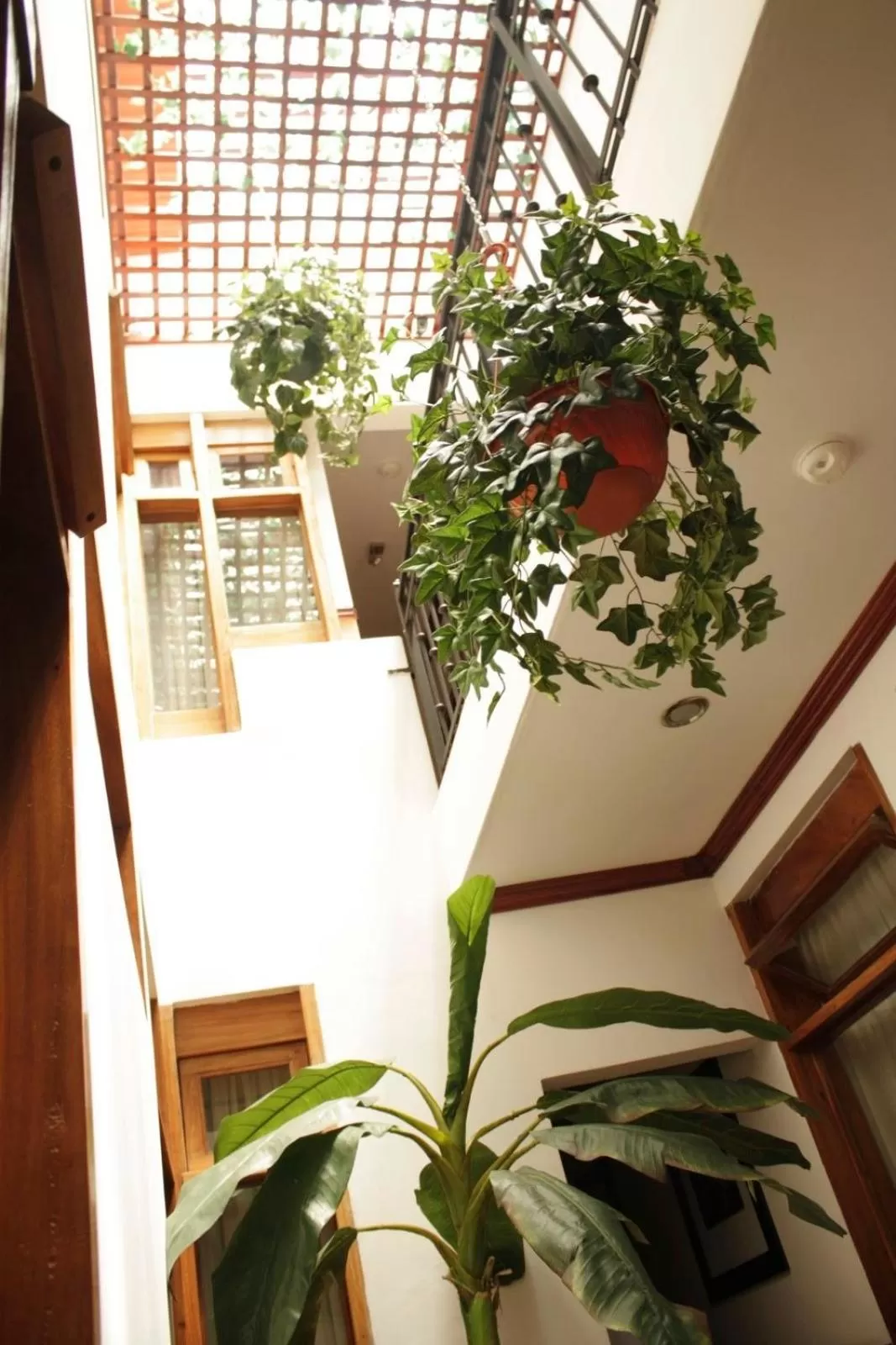 Patio in Boutique Hotel Calle 20