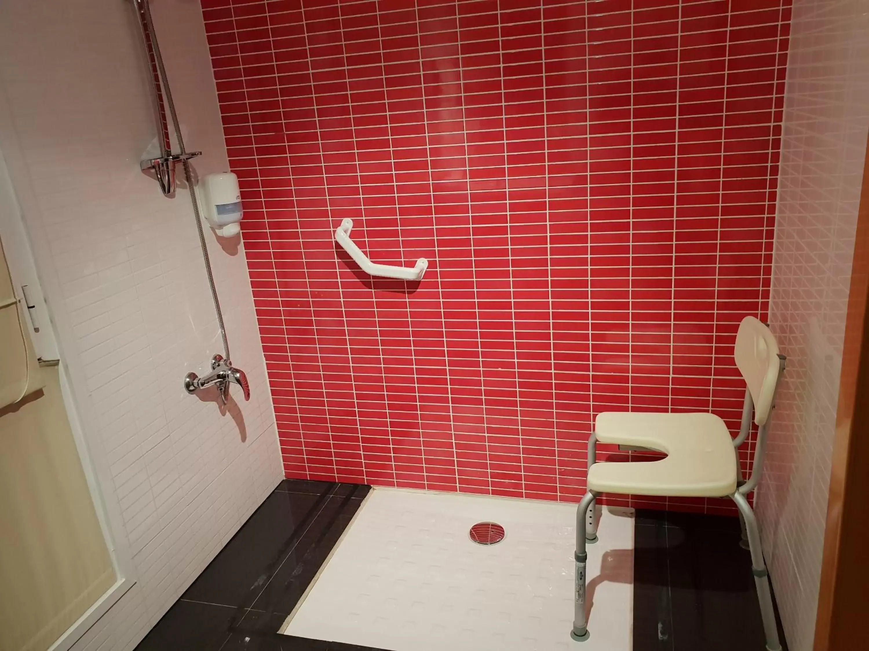 Facility for disabled guests, Bathroom in Norte Hotel