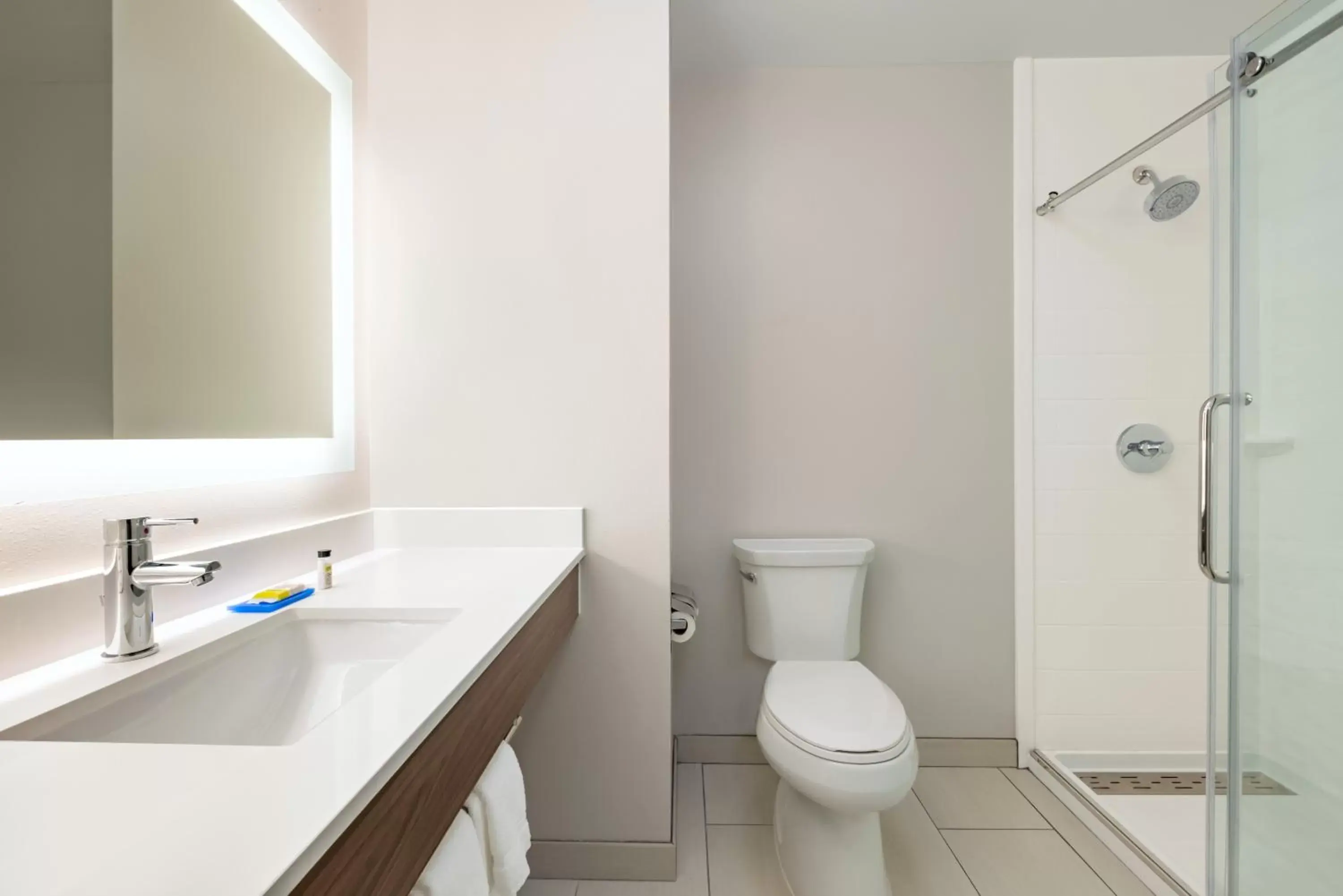 Shower, Bathroom in Holiday Inn Express Hotel & Suites Opelika Auburn, an IHG Hotel