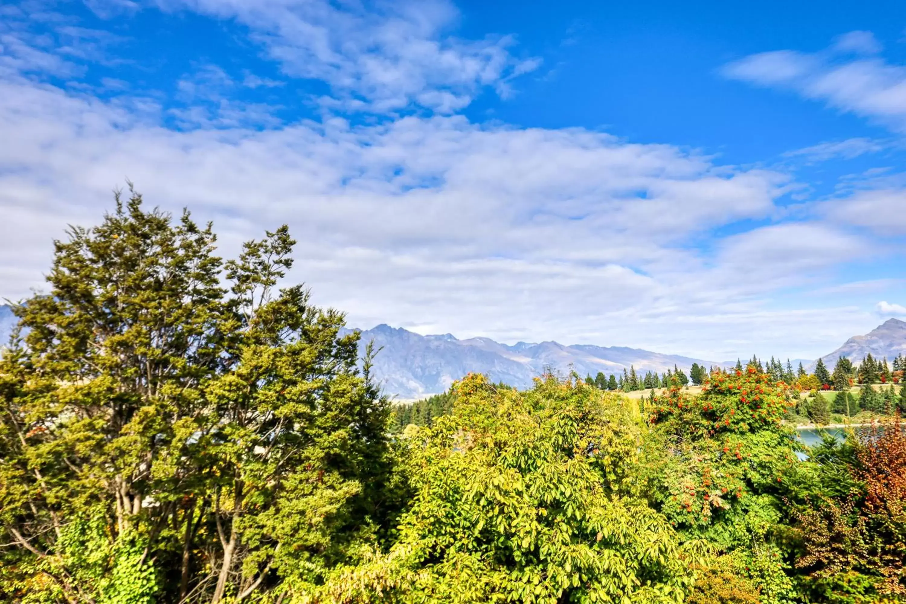 Natural landscape in Garden Court Suites & Apartments