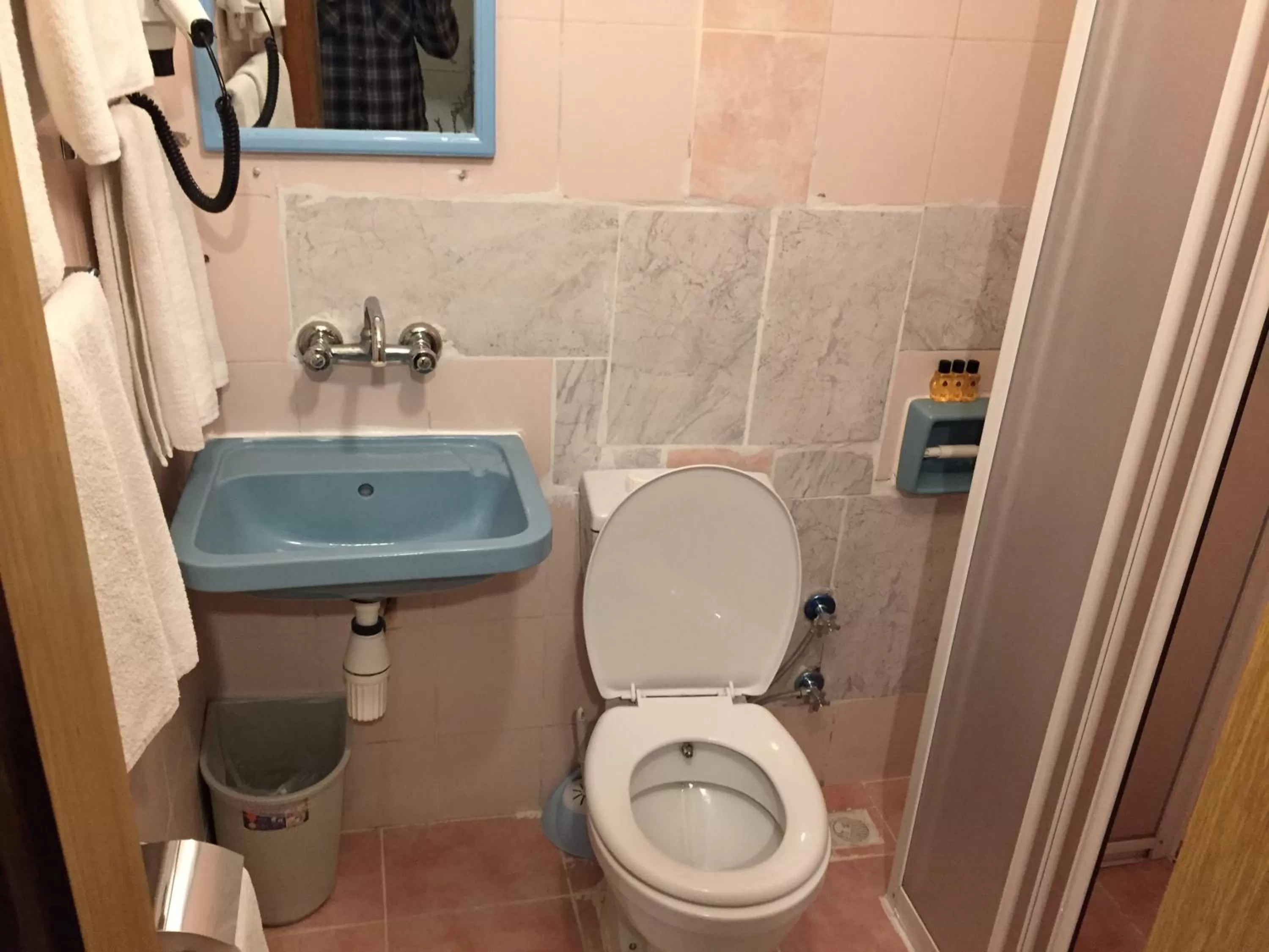 Toilet in Paris Hotel