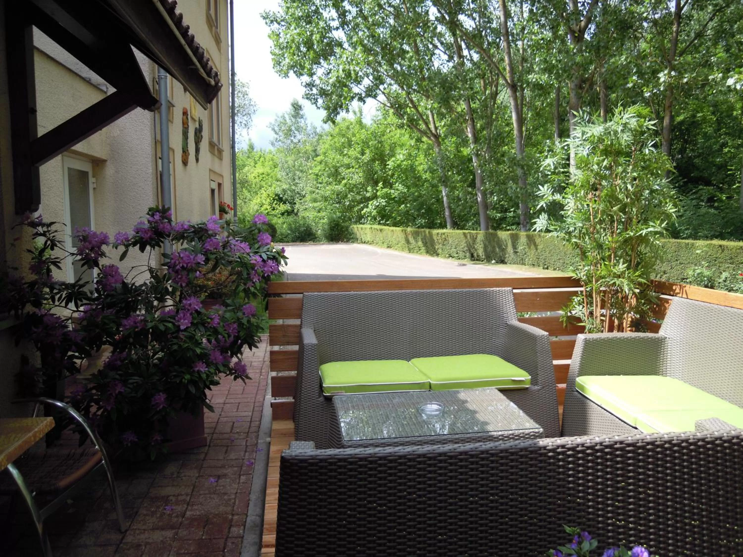 Patio in Logis Bagatelle - 51530 Dizy
