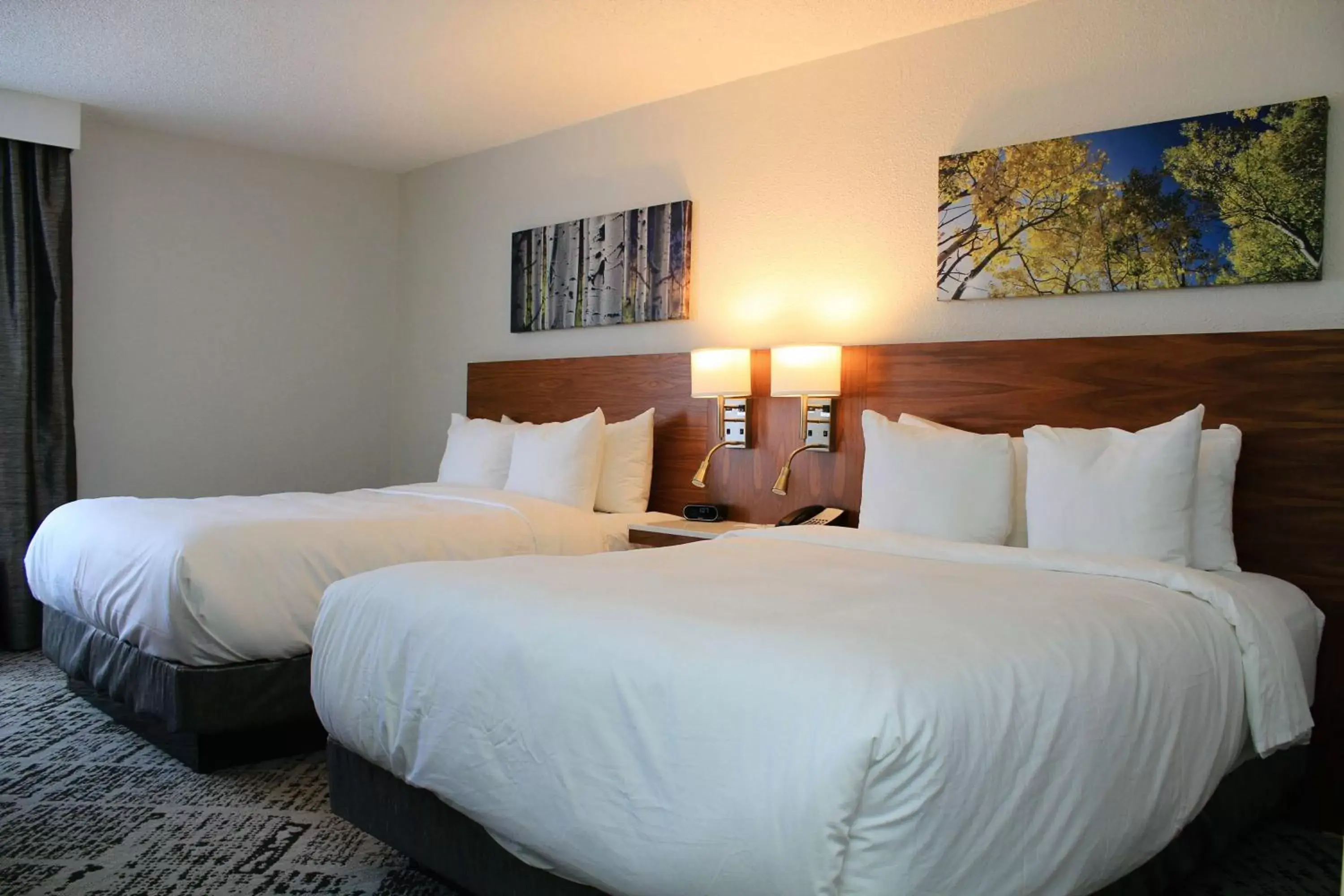 Photo of the whole room, Bed in Radisson Hotel Denver Central