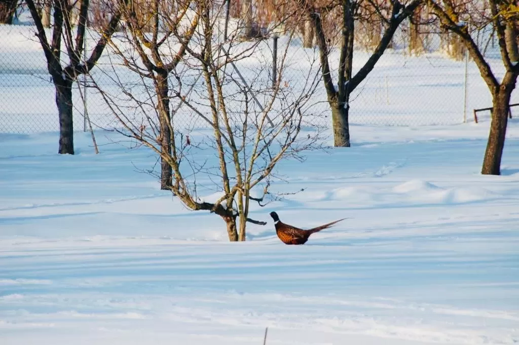 Natural landscape in B&B Mo Va Là