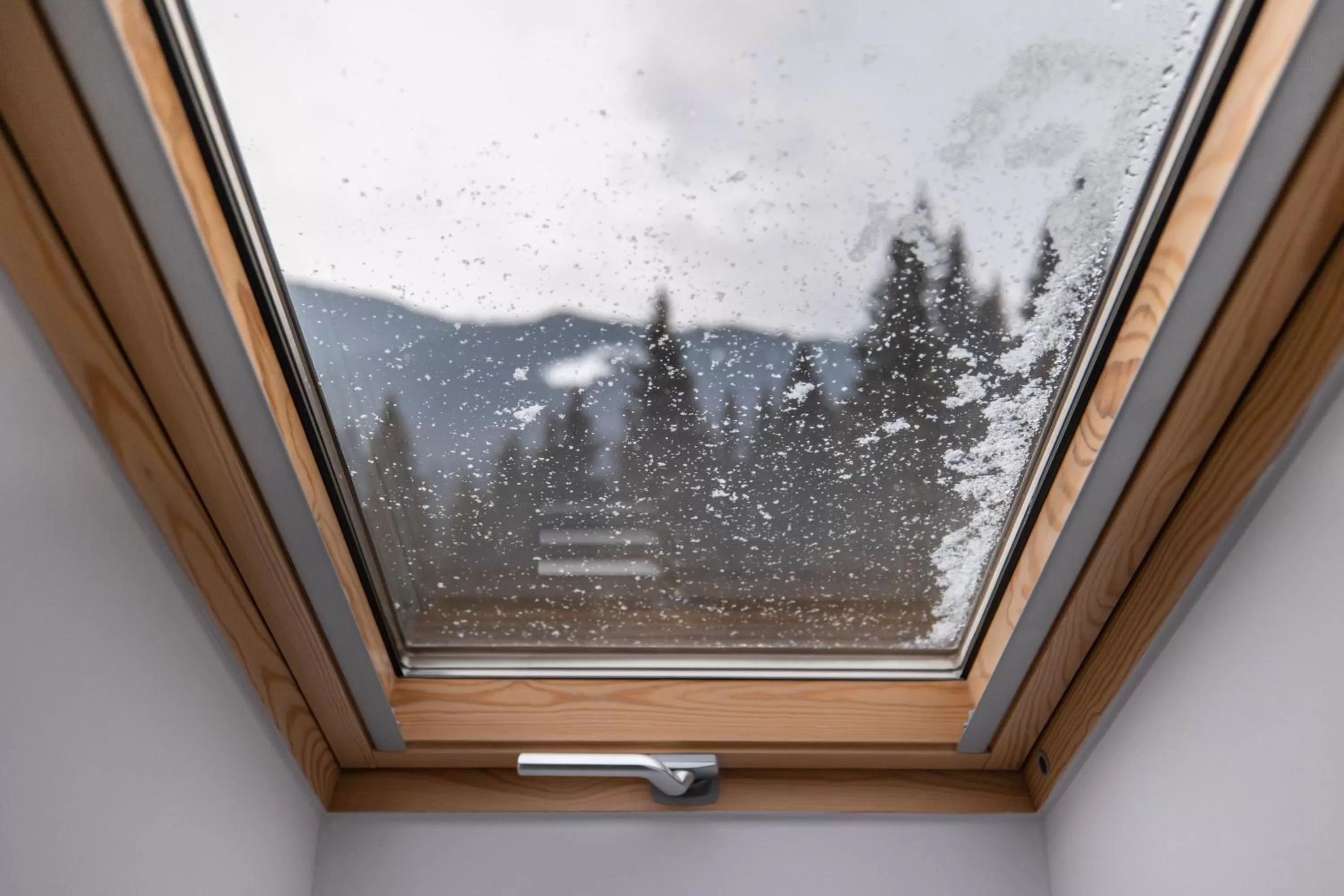 Winter, View in Hotel Belmont