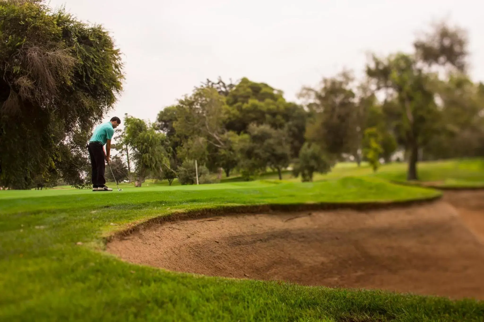 Nearby landmark, Golf in Holiday Inn & Suites Santa Maria, an IHG Hotel