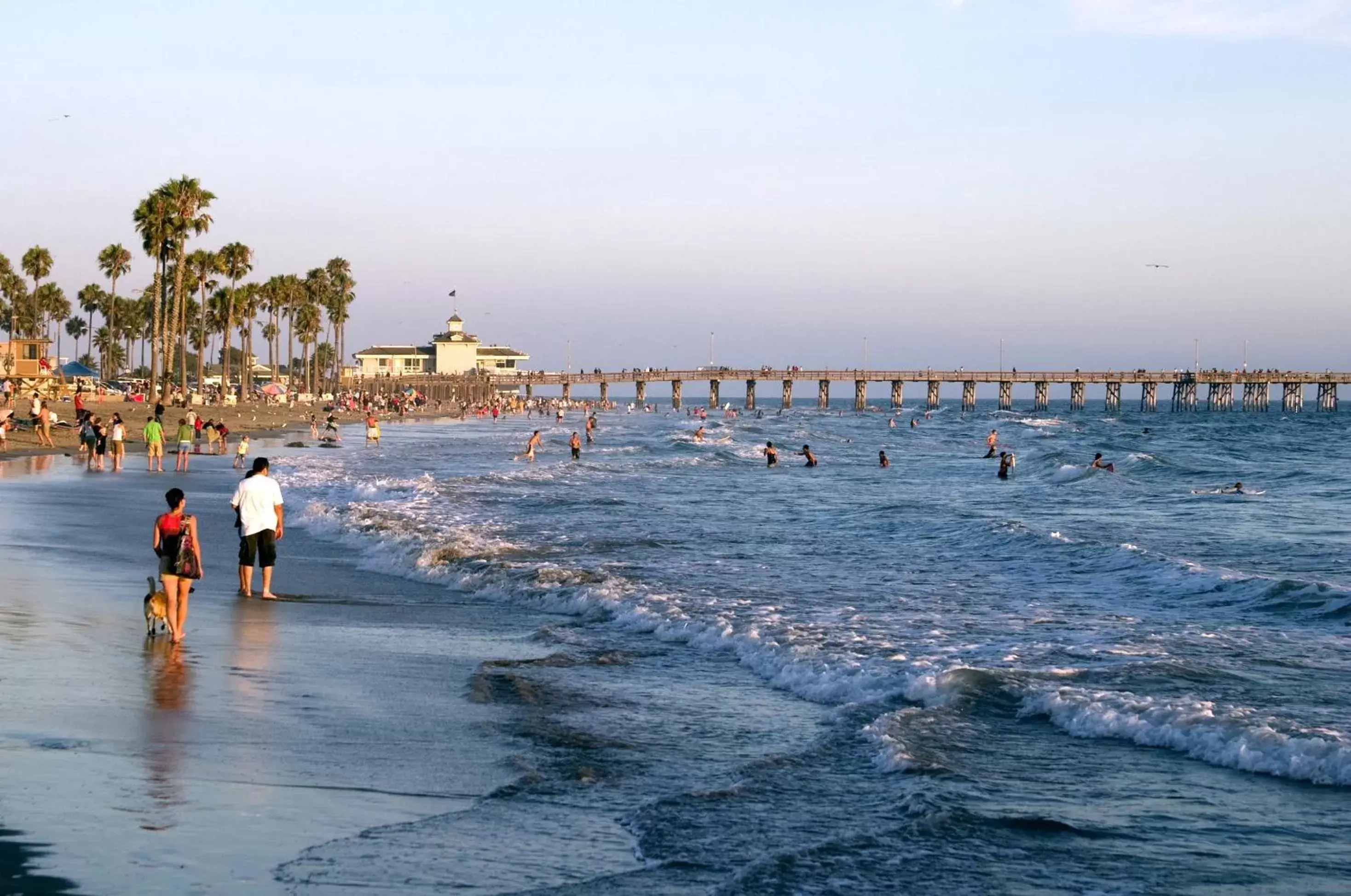 Area and facilities, Beach in Newport Beach Hotel