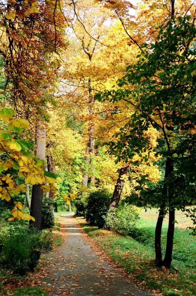 Natural landscape in Hotel im Kavalierhaus