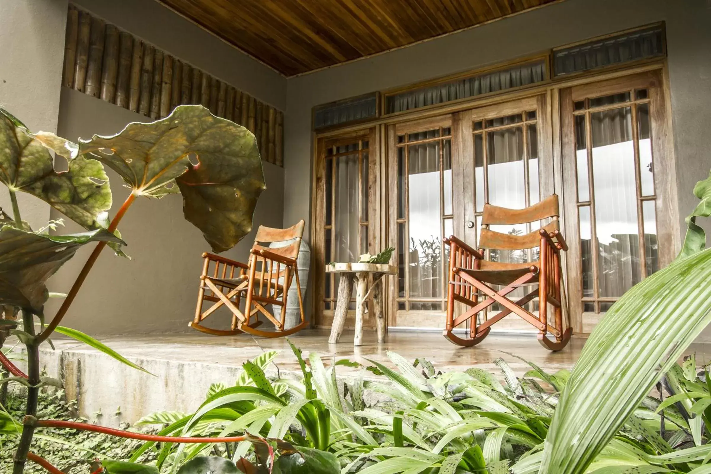 Garden, Seating Area in Lost Iguana Resort and Spa