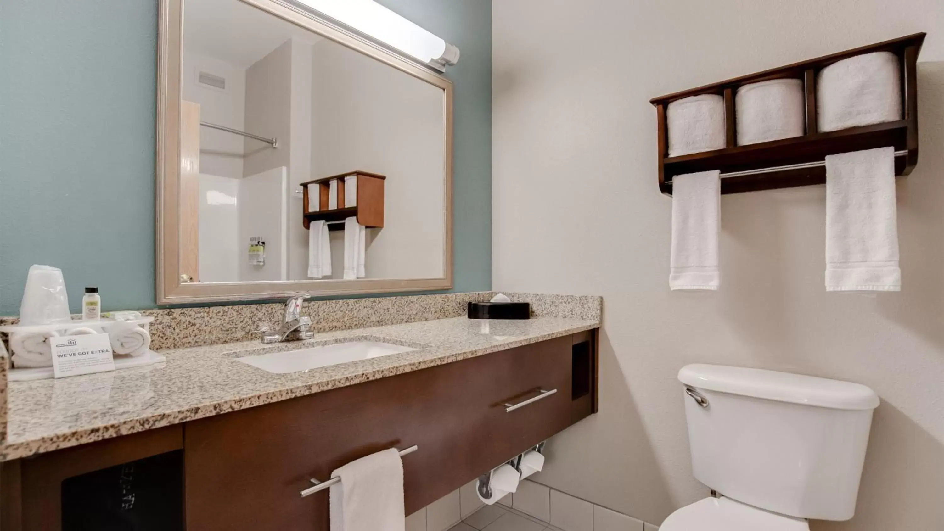 Bathroom in Holiday Inn Express and Suites St. Cloud, an IHG Hotel