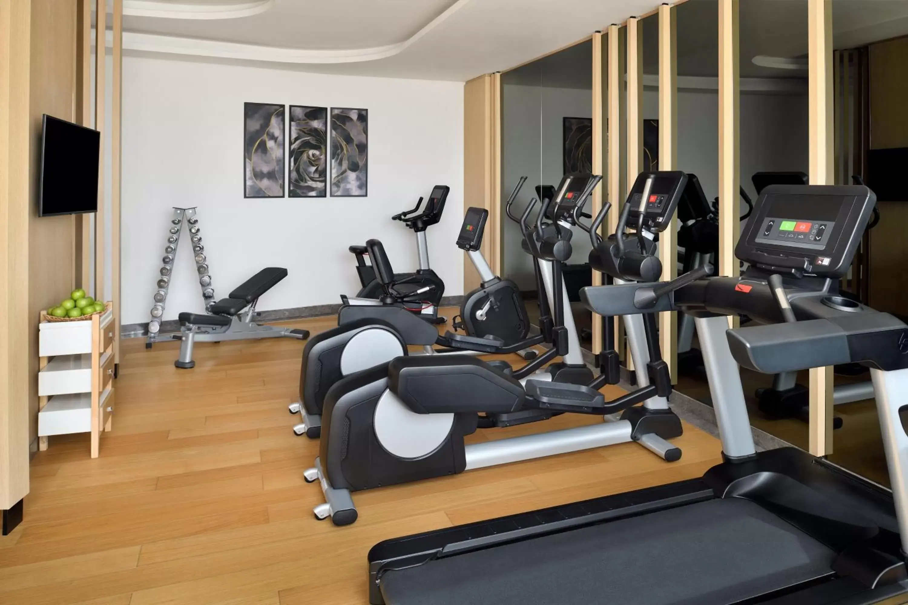 Fitness centre/facilities, Fitness Center/Facilities in Crowne Plaza - Jeddah Al Salam, an IHG Hotel