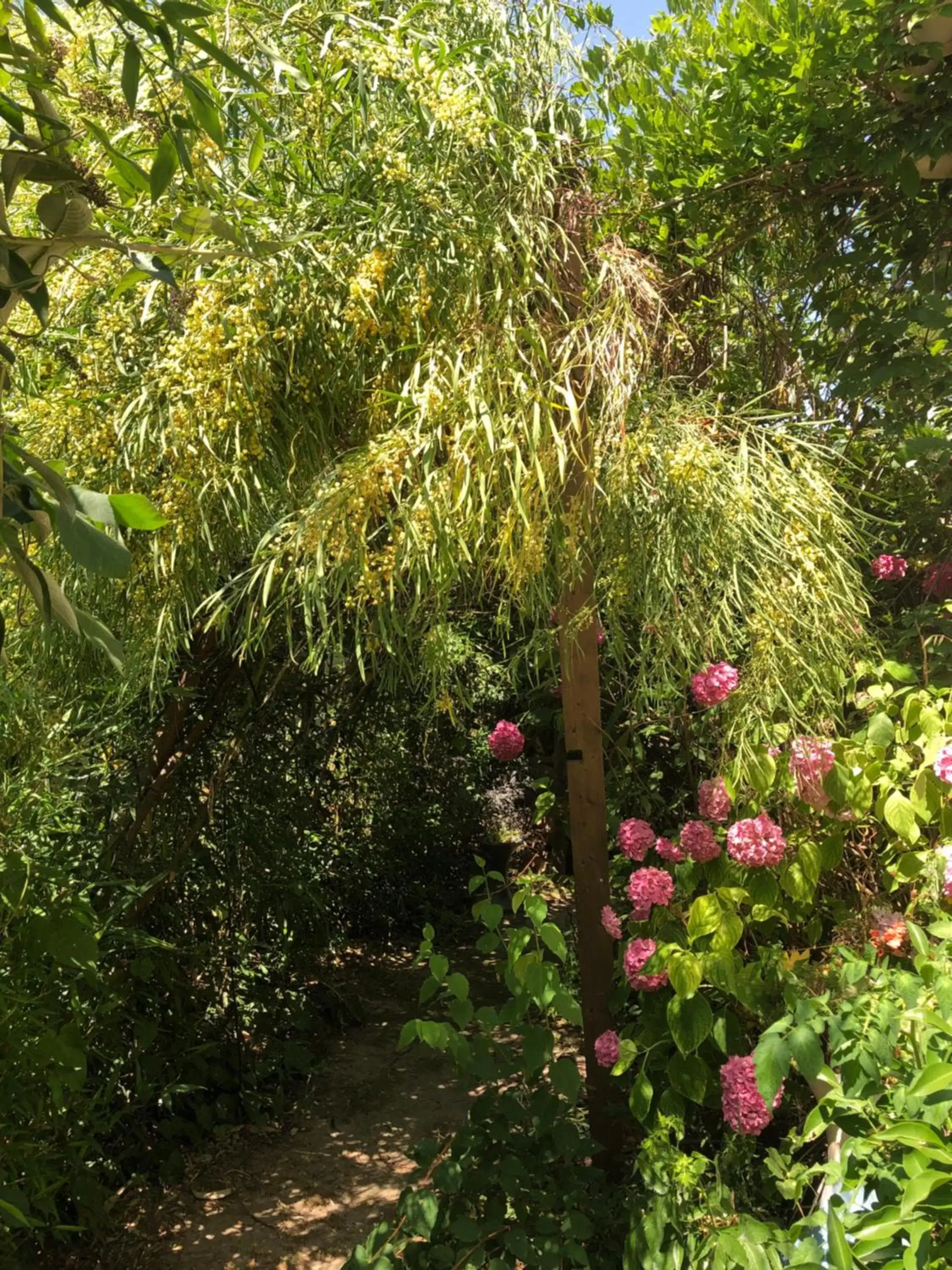 Natural landscape, Garden in L Atypique