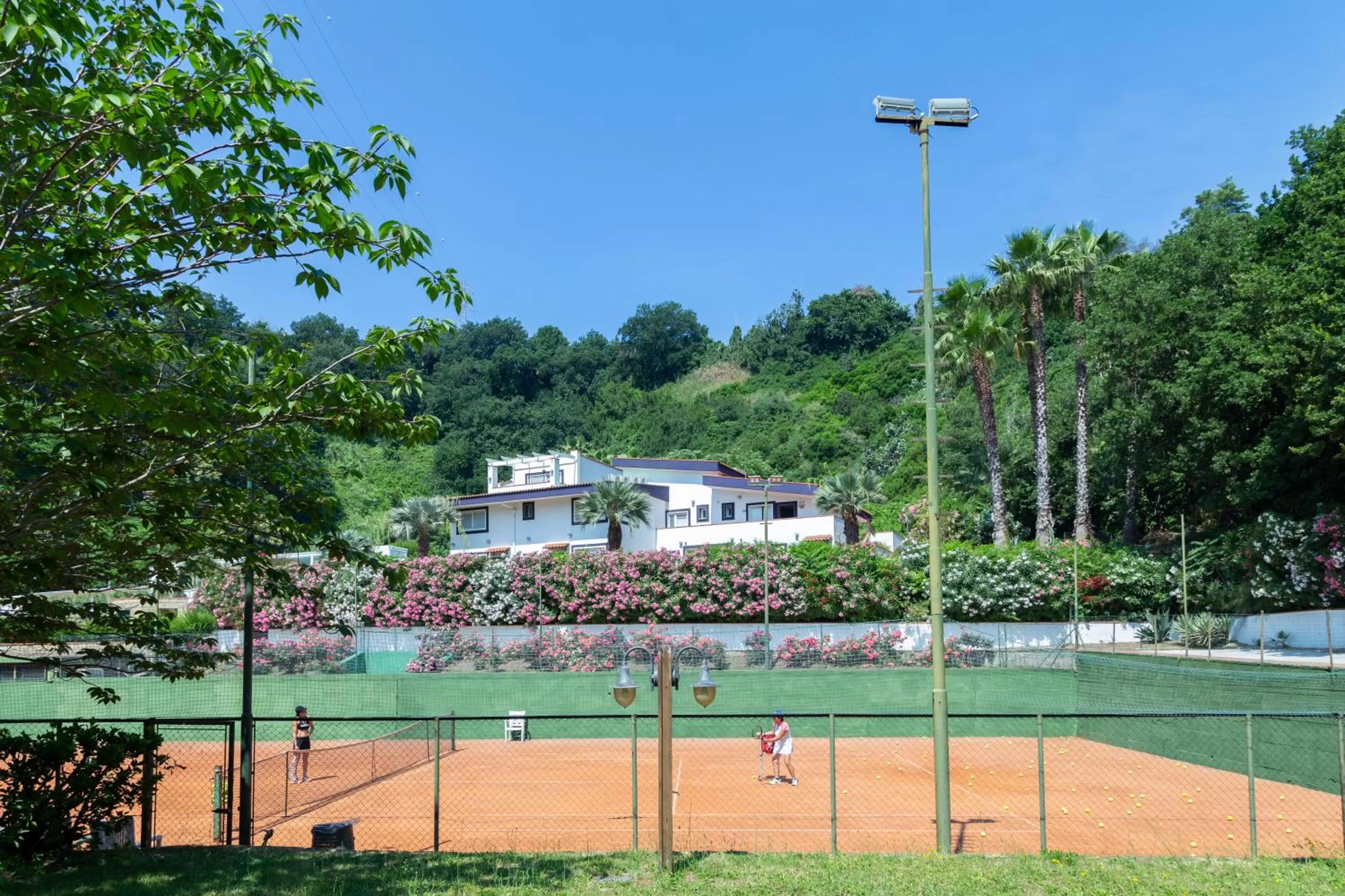 Property building in Agave Hotel