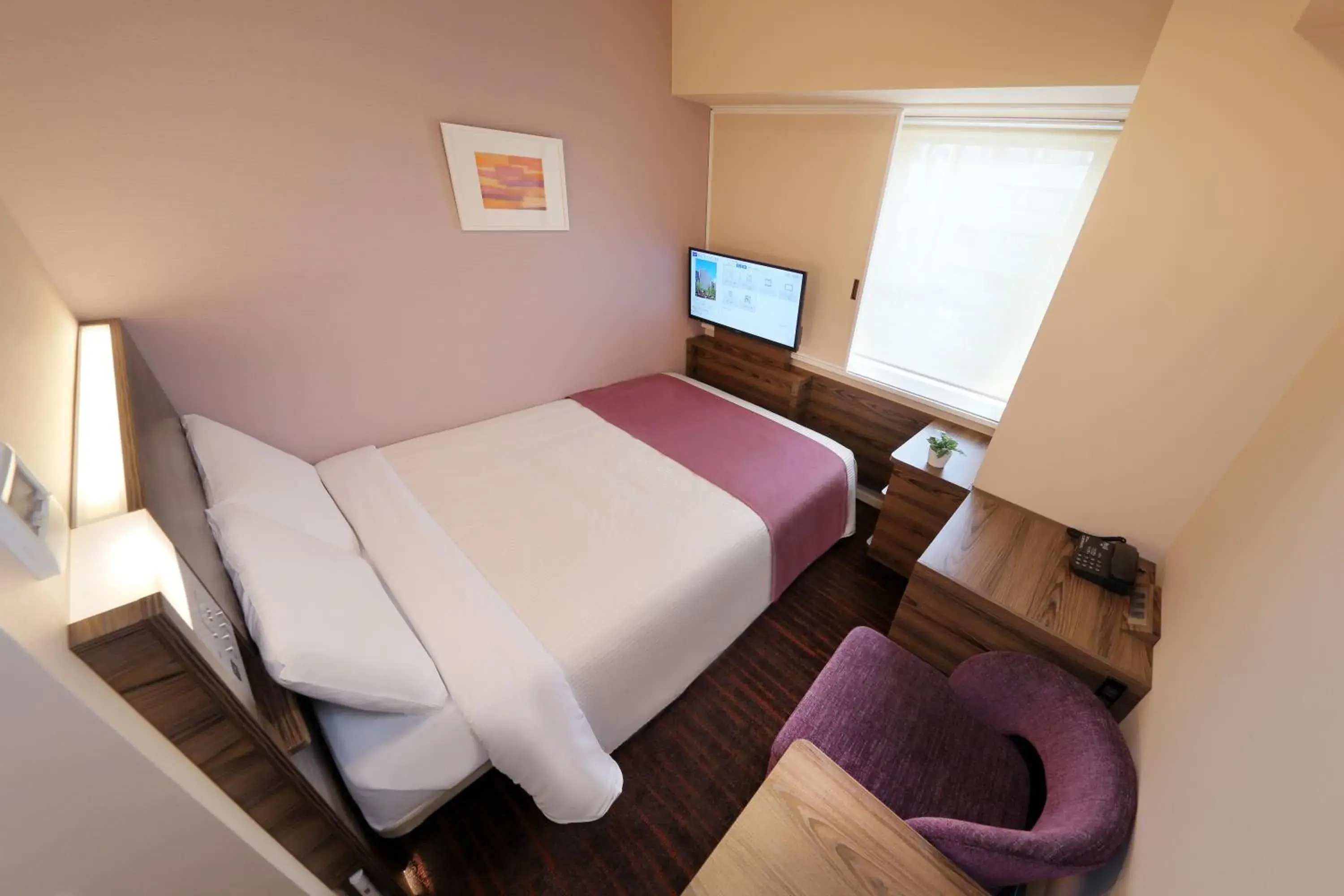 Double Room with Small Double Bed - Smoking in Keio Presso Inn Ikebukuro Double Room with Small Double Bed - Smoking in Keio Presso Inn Ikebukuro