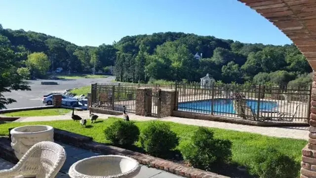 Swimming pool, Pool View in Chalet Inn & Suites