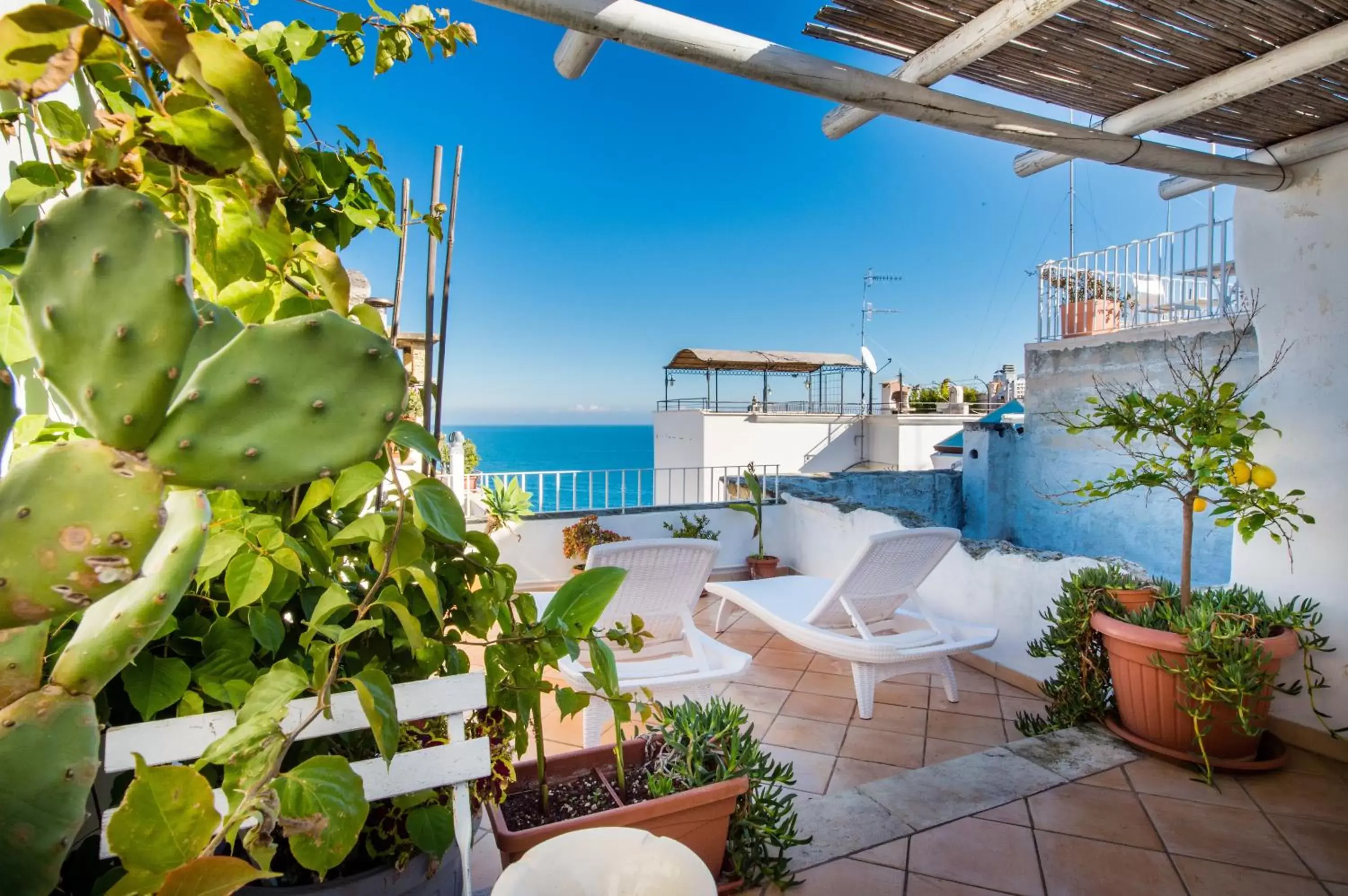 Balcony/Terrace in B&B Casa Dorsi