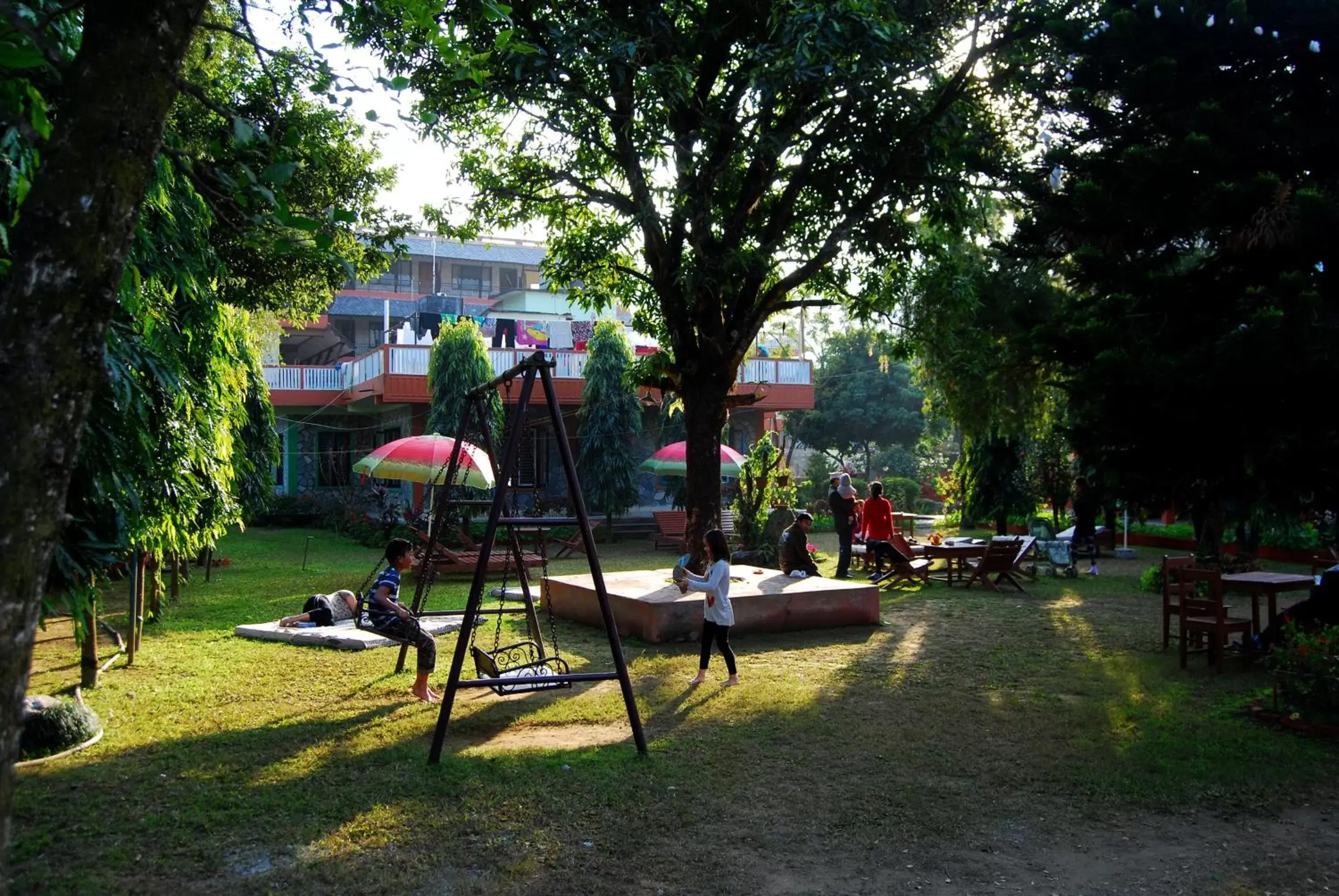 Garden in Butterfly Lodge