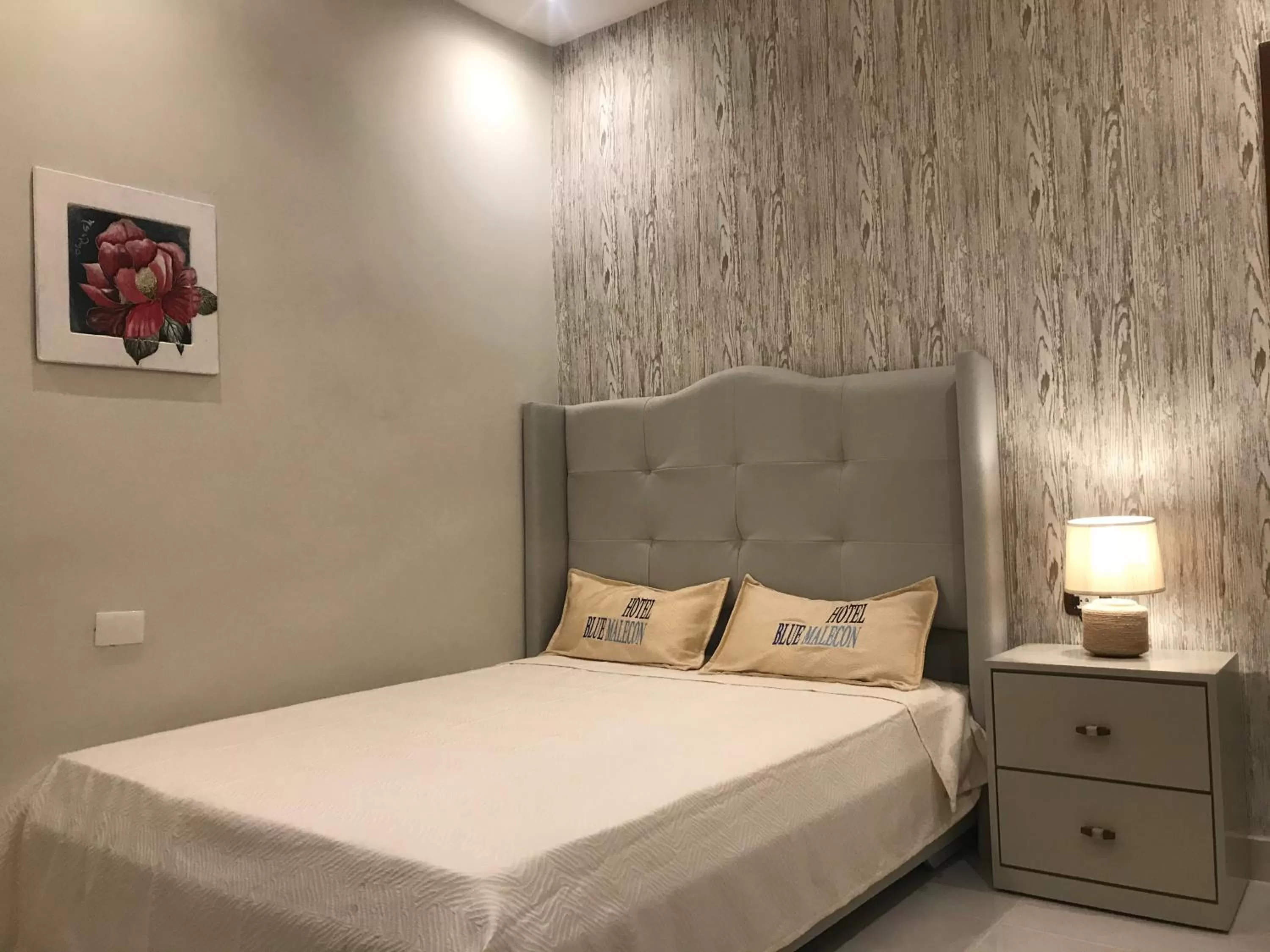 Hotel Blue Malecón And Spa