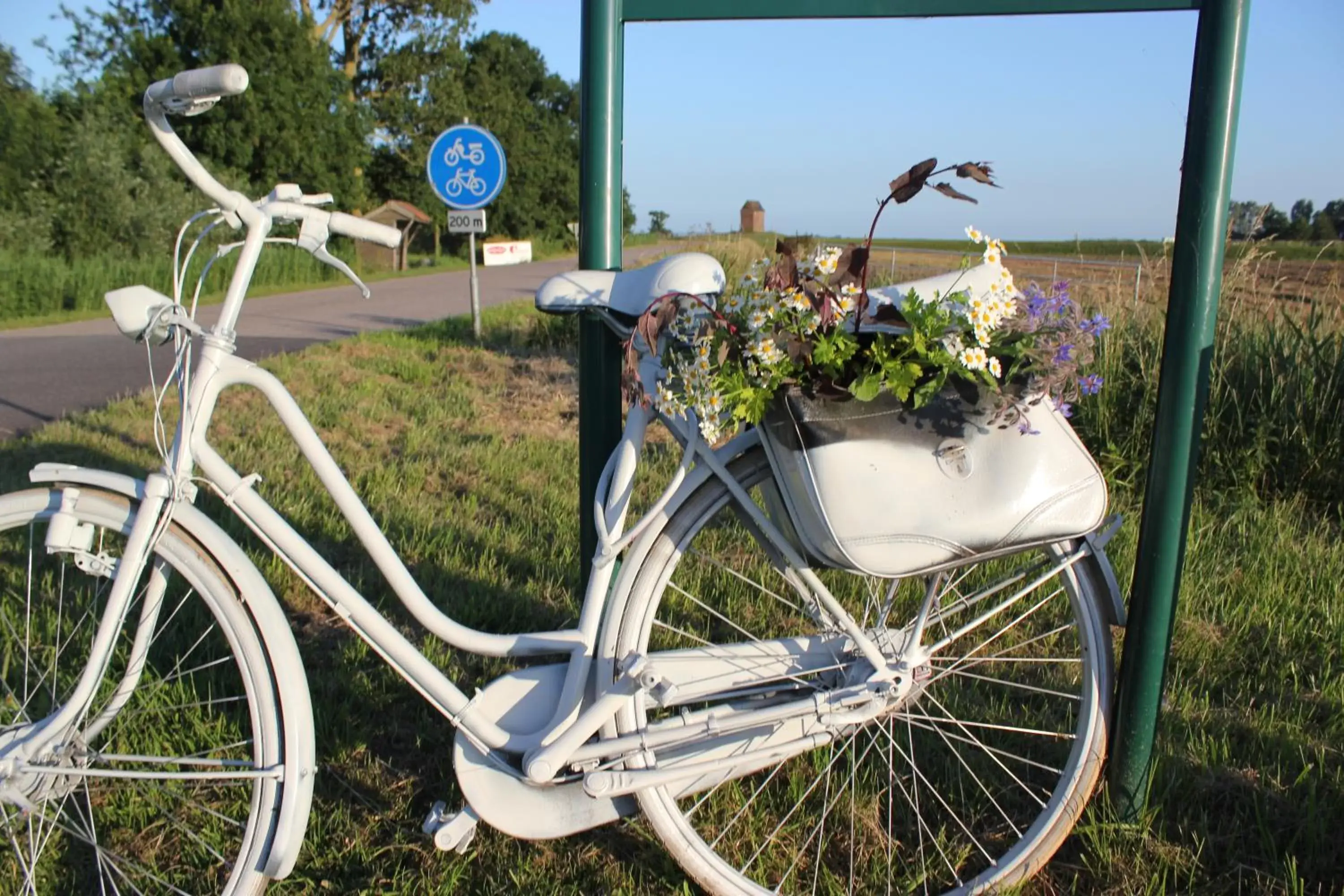 Cycling in B&B Welgelegen