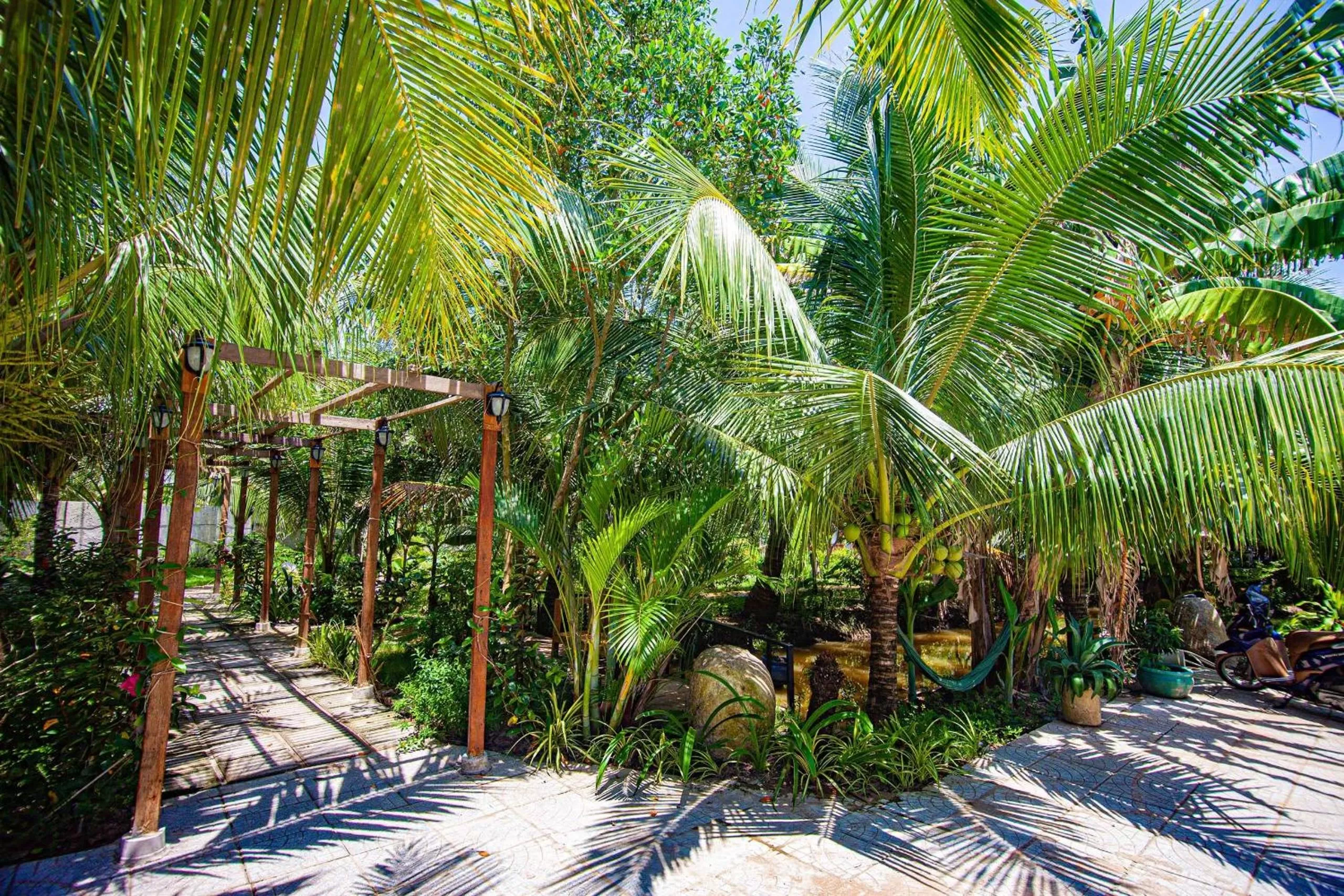 Spring in Hoang Phuc resort